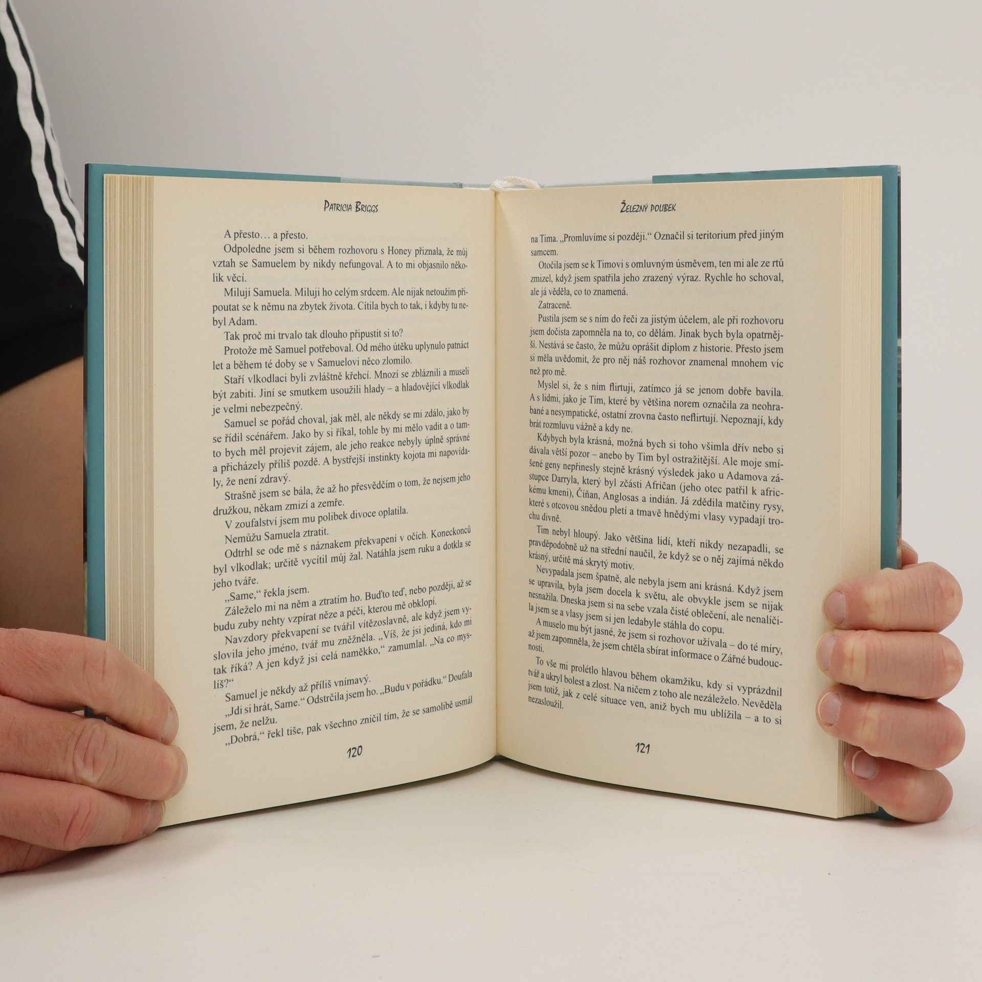 Patricia Briggs Železný polibek