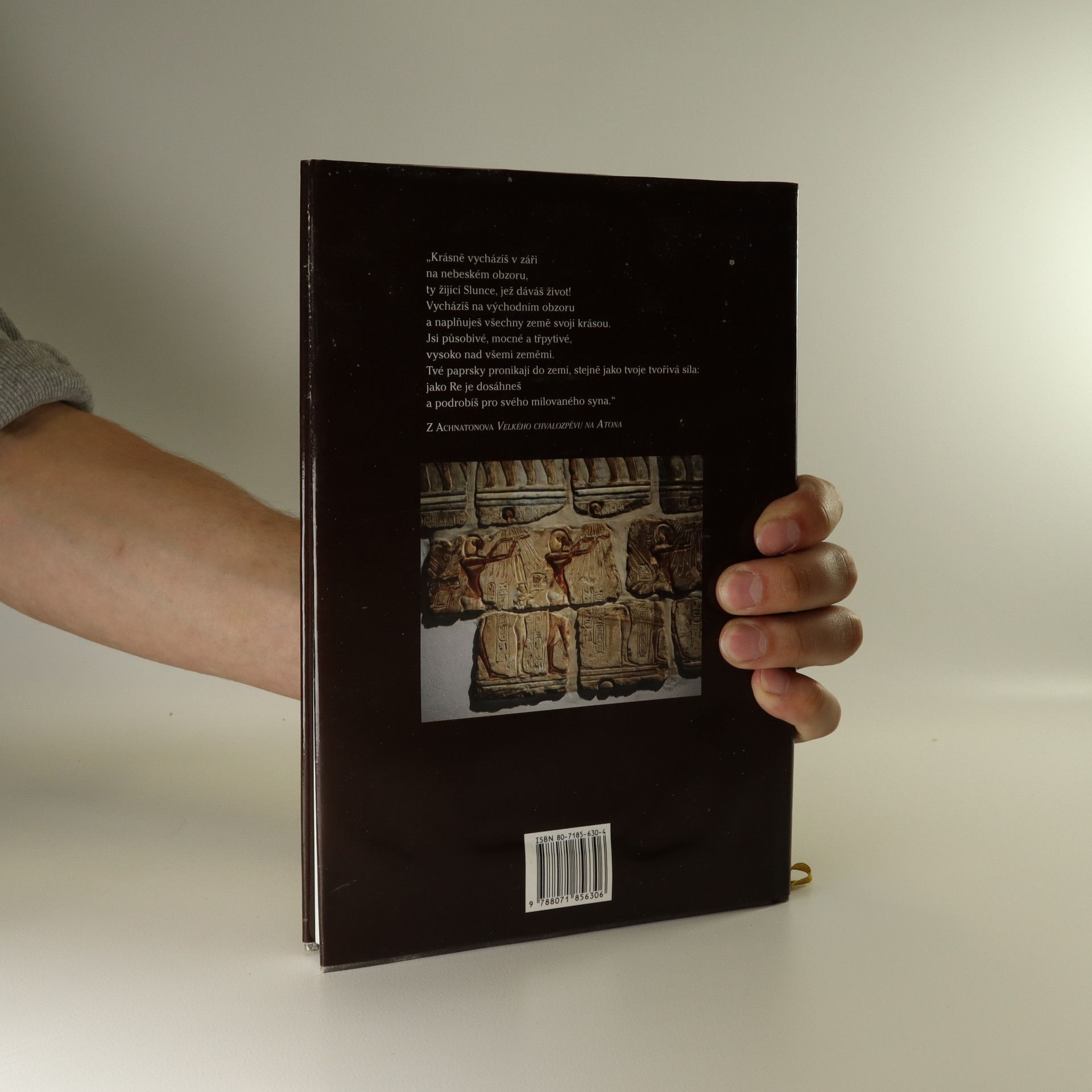 C. N. Reeves Achnaton: Falešný egyptský prorok