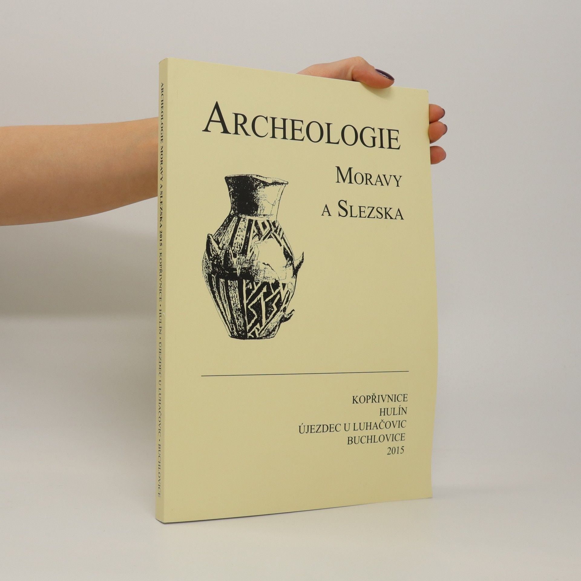 Collectif d'auteurs Archeologie Moravy a Slezska