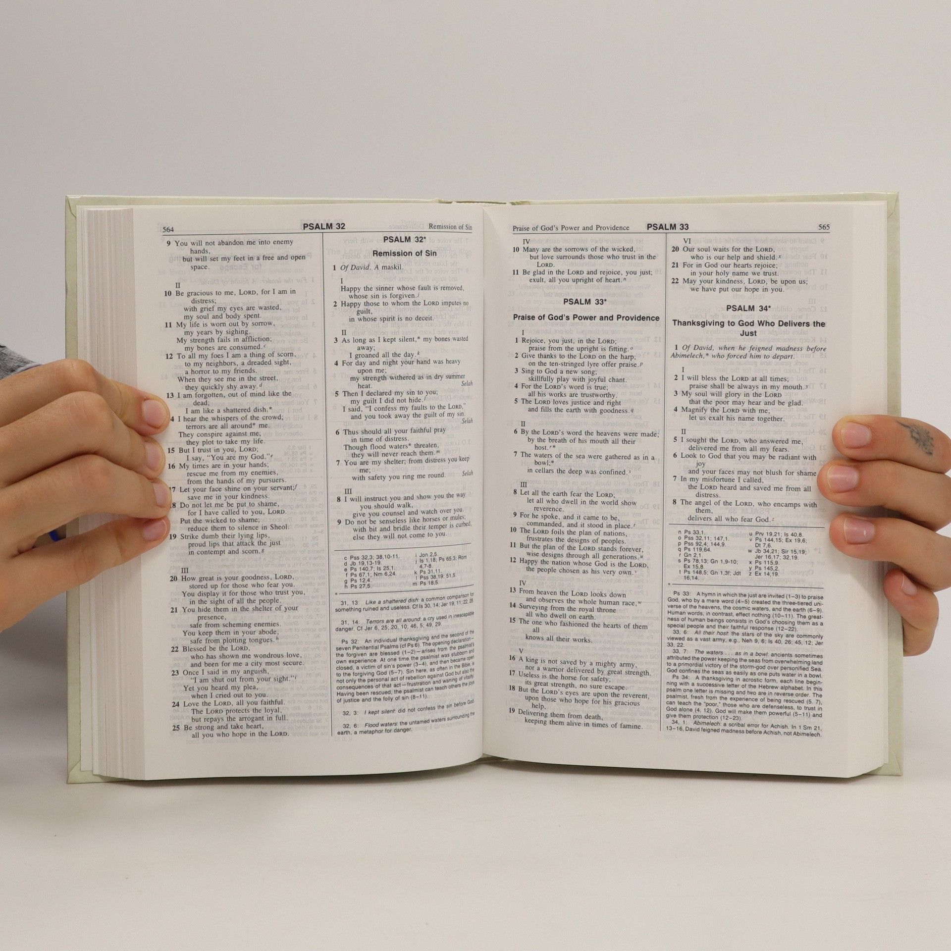 Autorenkollektiv Noah´s Ark Bible