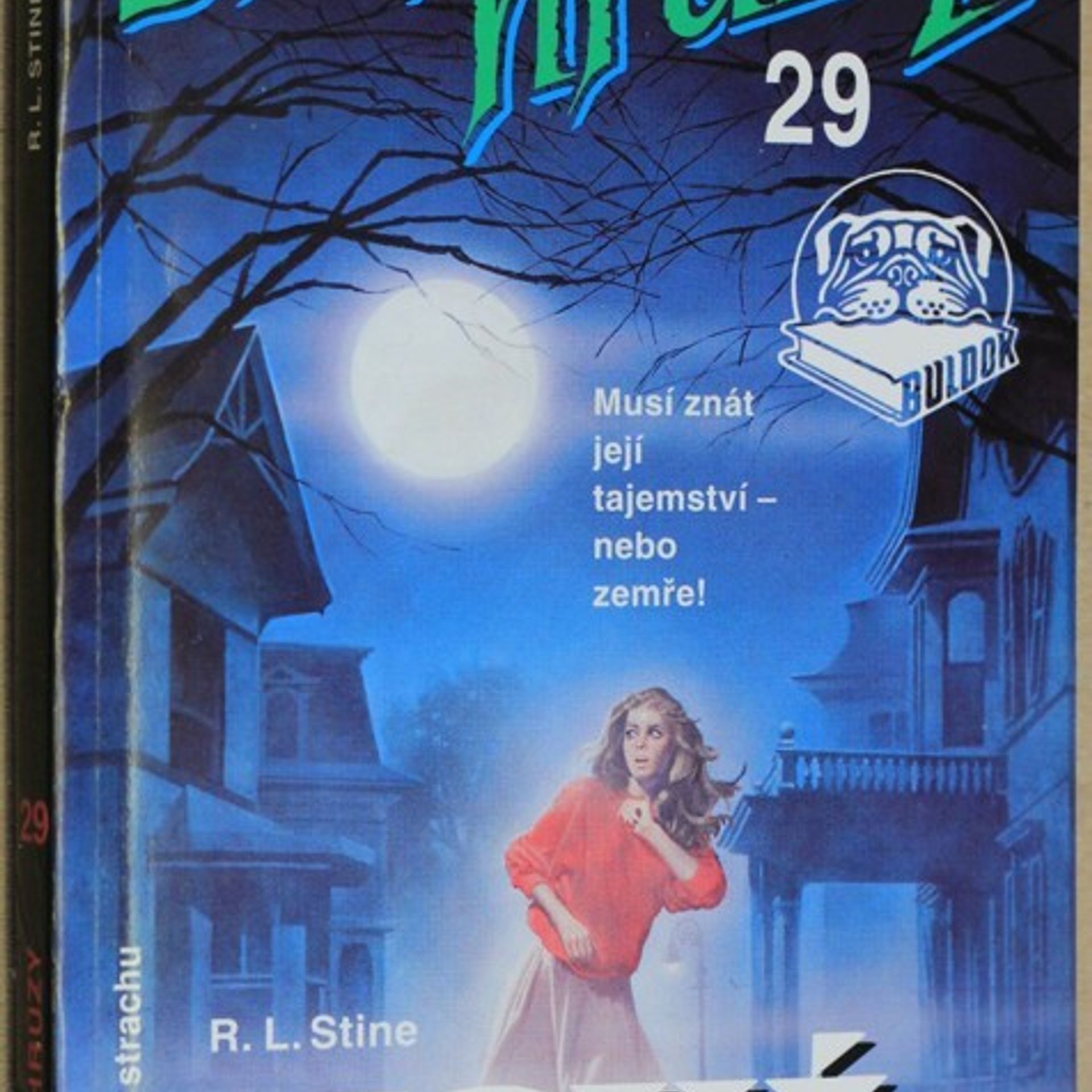 R. L. Stine Nová dívka
