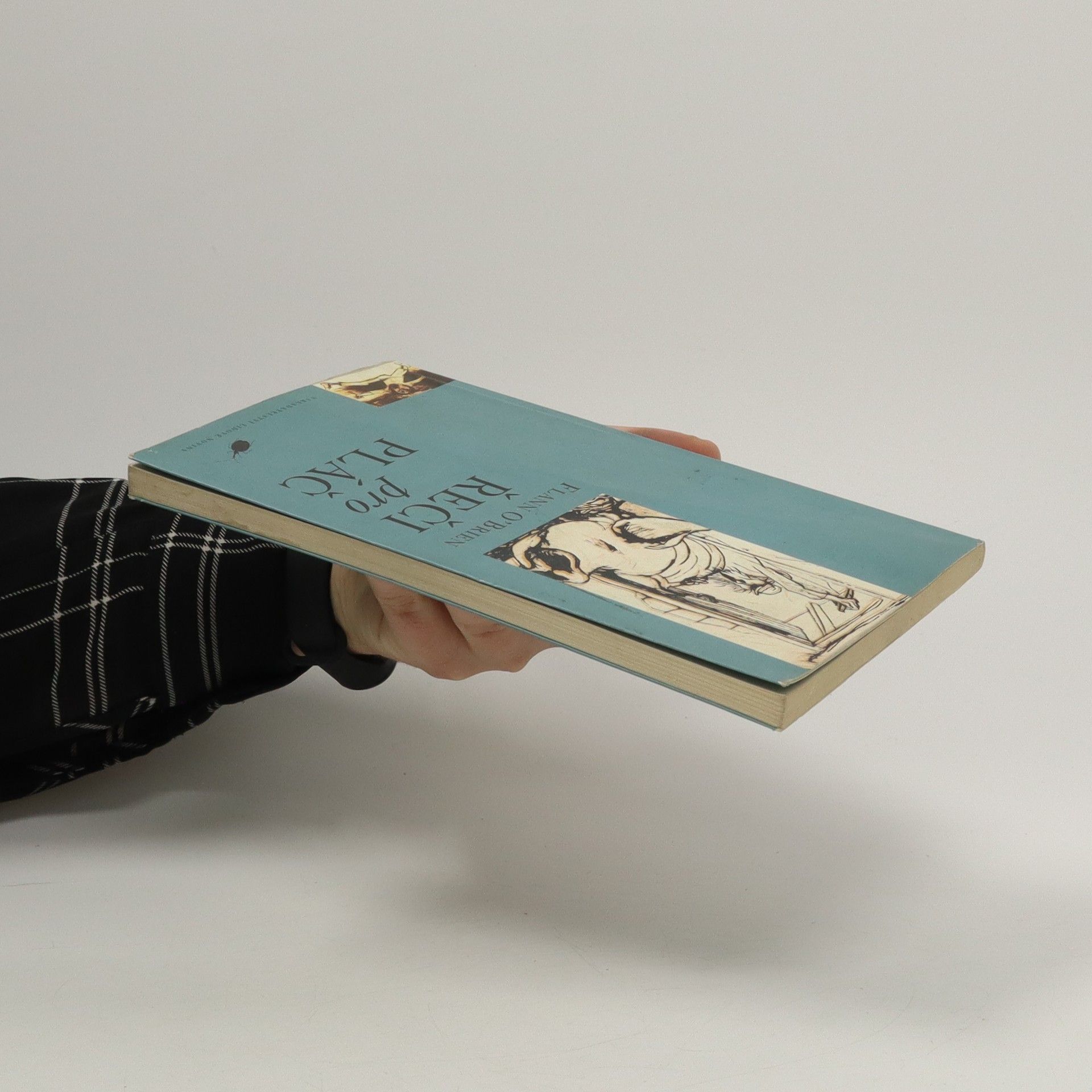 Flann O. Brien Řeči pro pláč : mizerný příběh jednoho krušného osudu