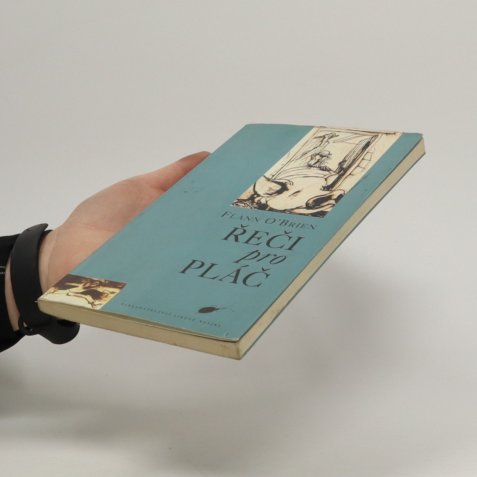 Flann O. Brien Řeči pro pláč : mizerný příběh jednoho krušného osudu