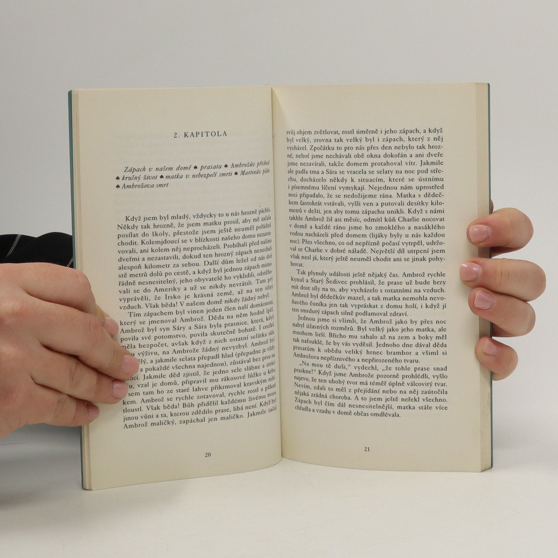 Flann O. Brien Řeči pro pláč : mizerný příběh jednoho krušného osudu