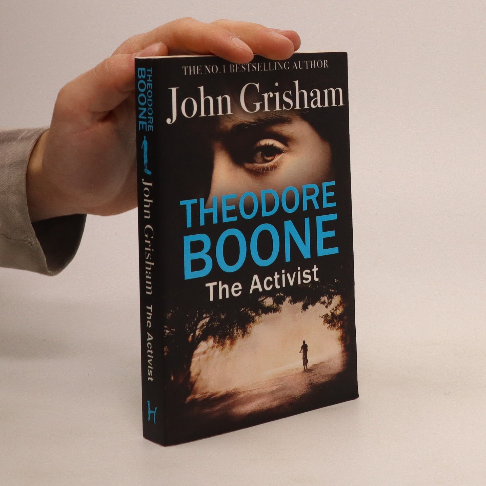 John Grisham Theodore Boone : the activist