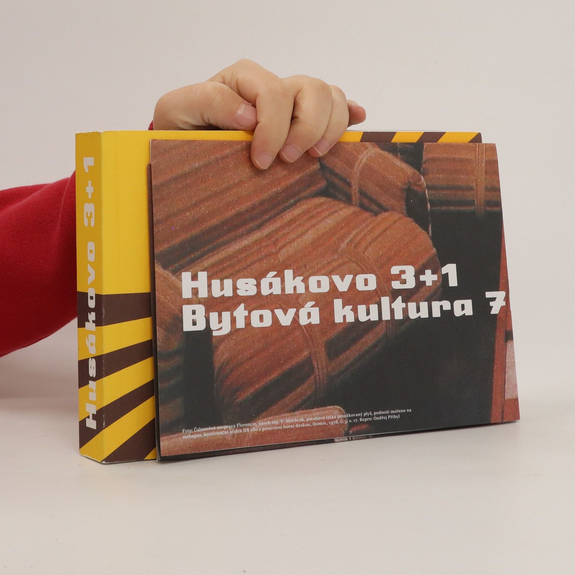 Lada Hubatová Vacková Husákovo 3 + 1. Bytová kultura 70. let