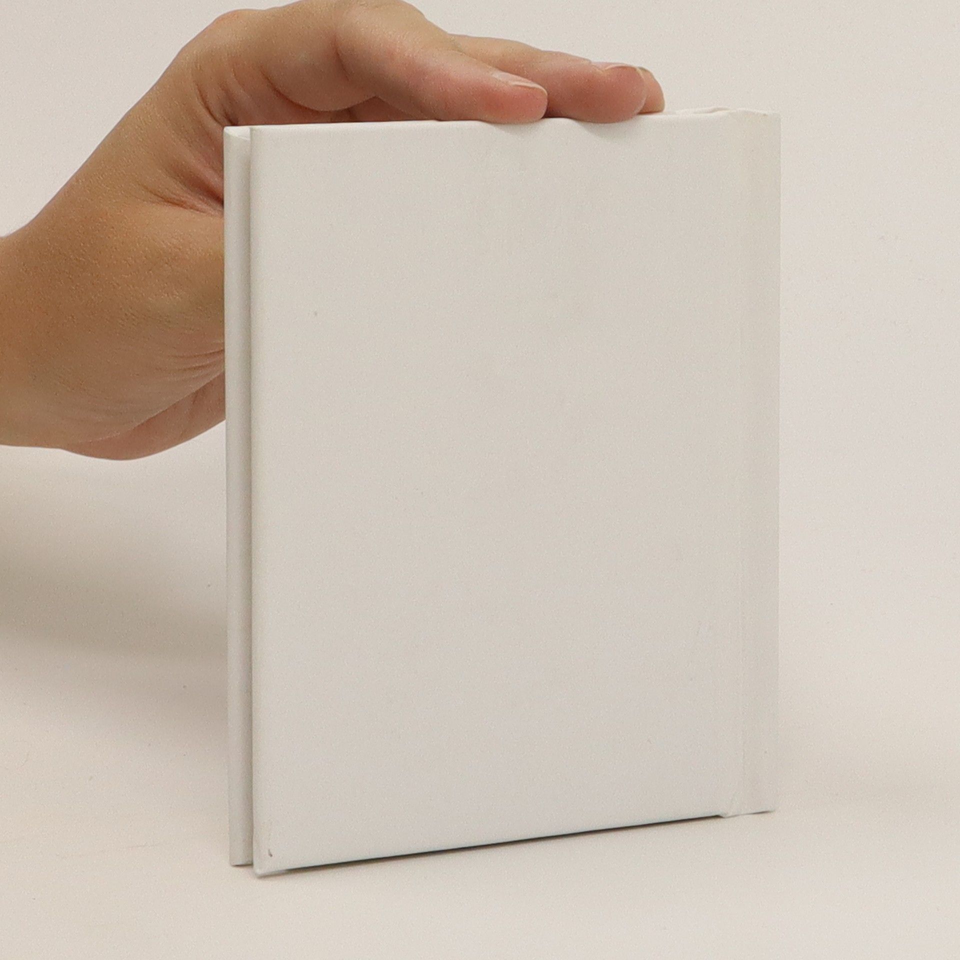 Didier Boursin Origami jako šperky: Tvůrčí ateliér