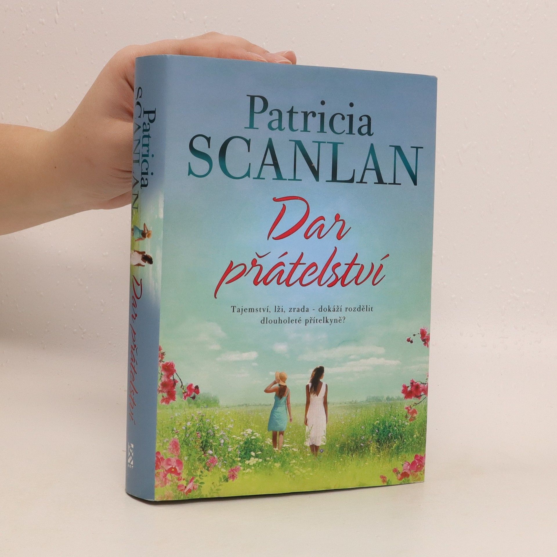 Patricia Scanlan Dar přátelství