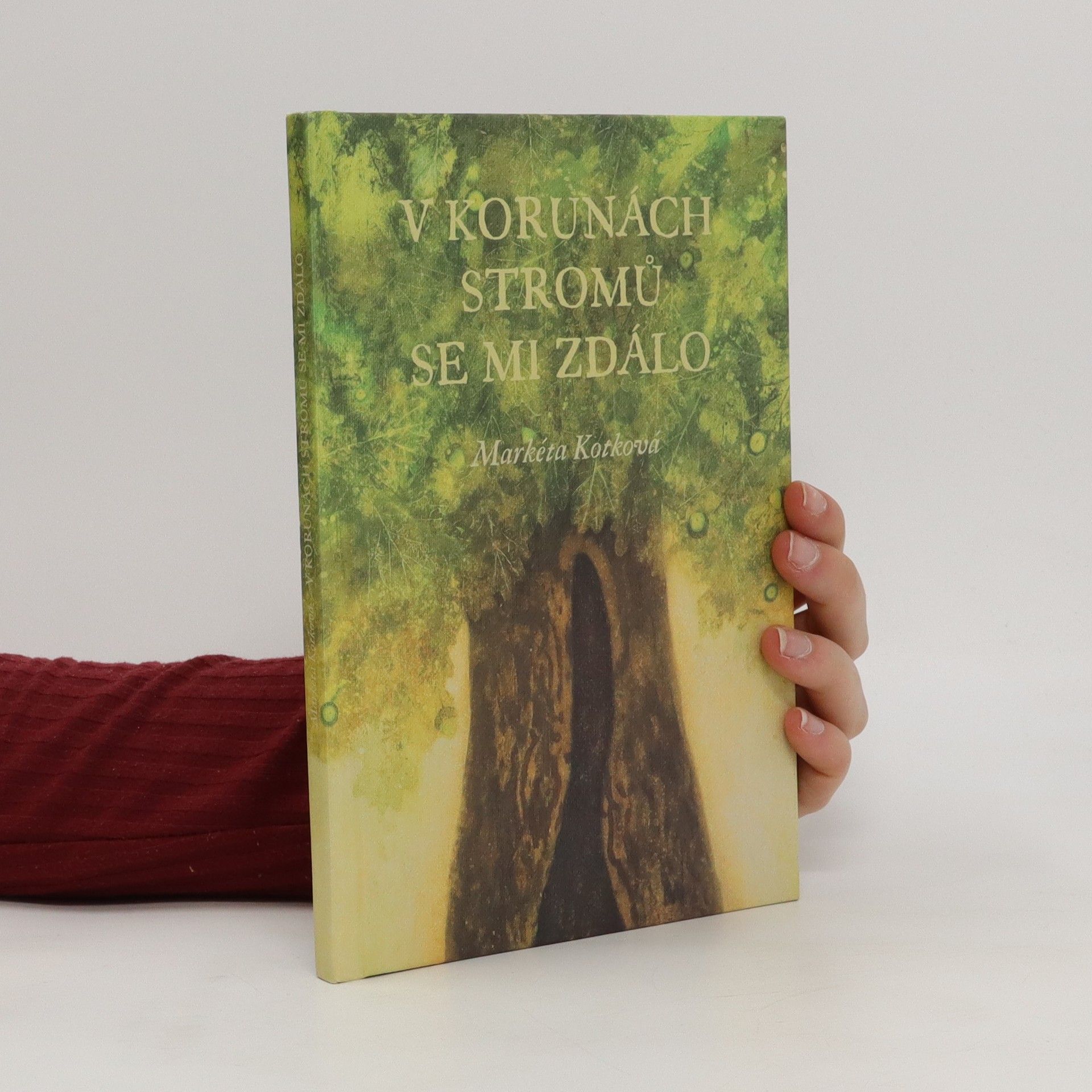 Markéta Kotková V korunách stromů se mi zdálo