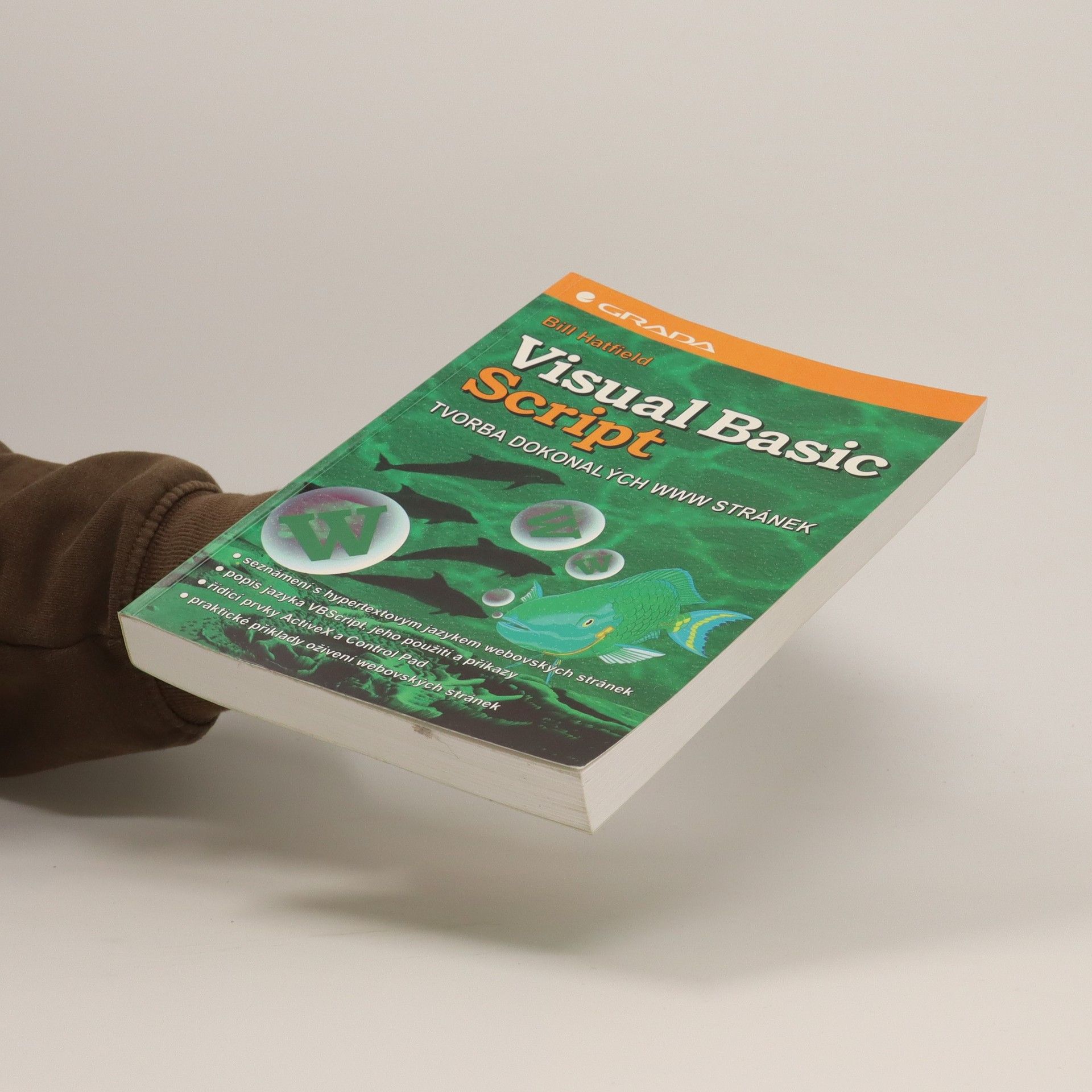 Bill Hatfield Visual Basic Script