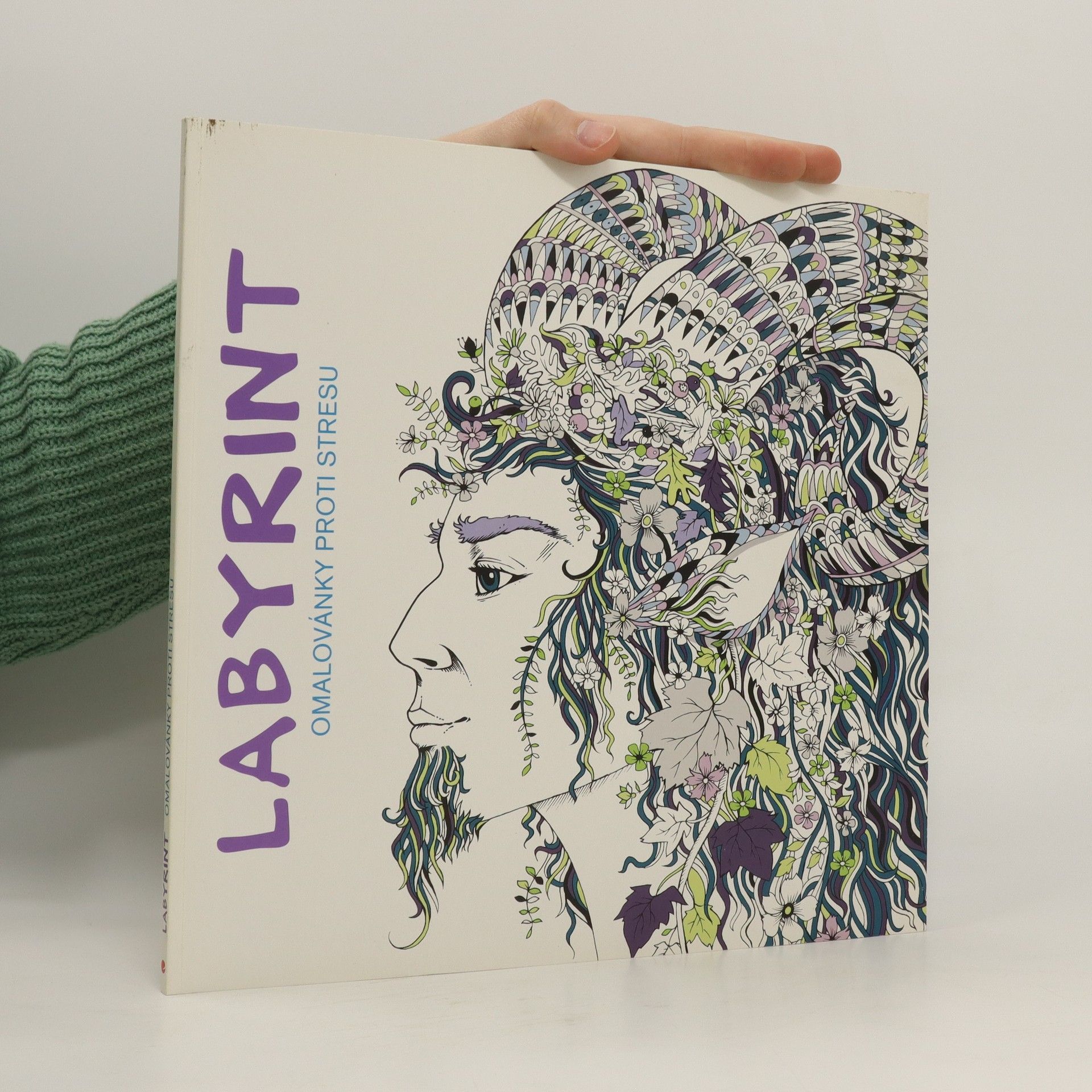 Autorenkollektiv Labyrint: omalovánky proti stresu