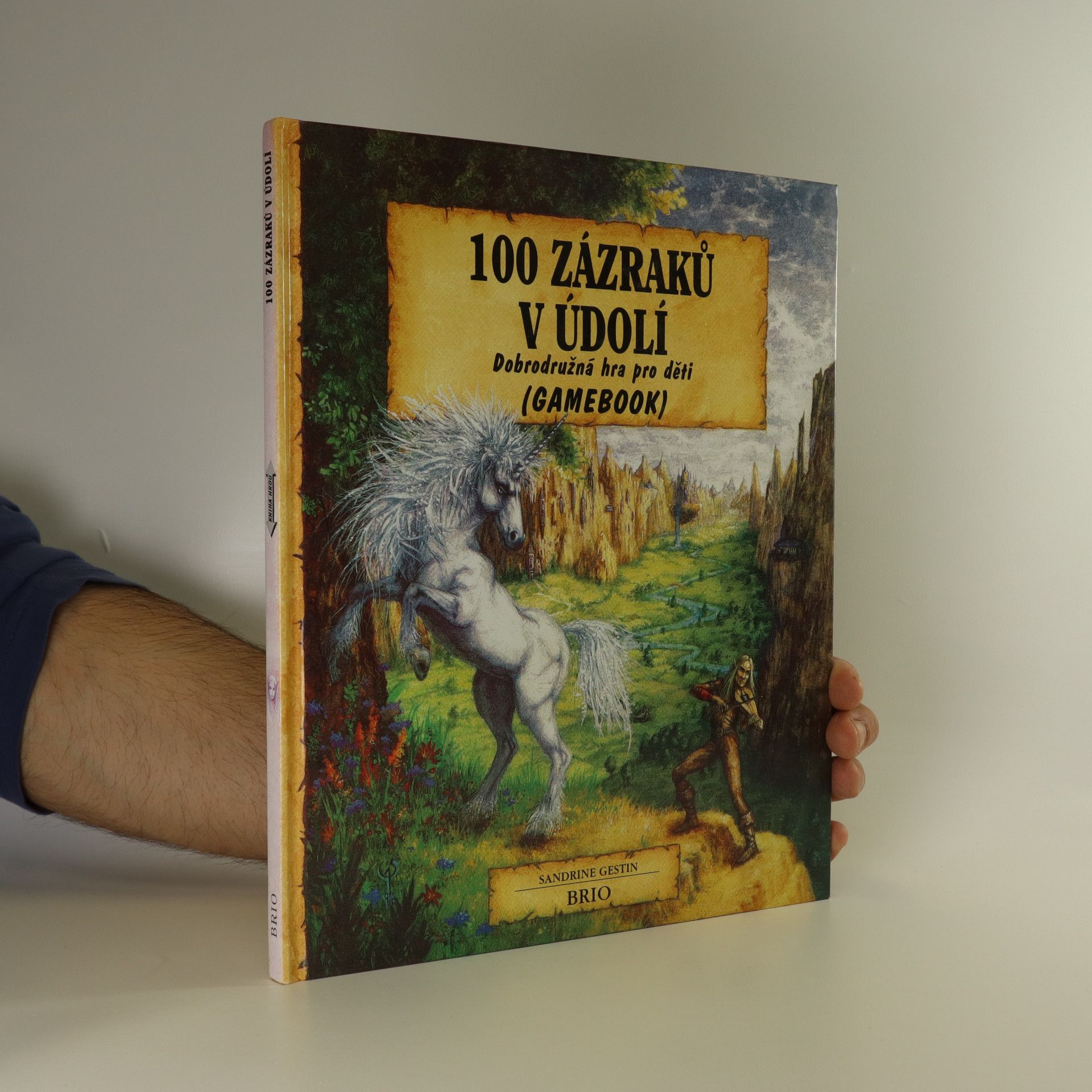 Sandrine Gestin 100 zázraků v údolí