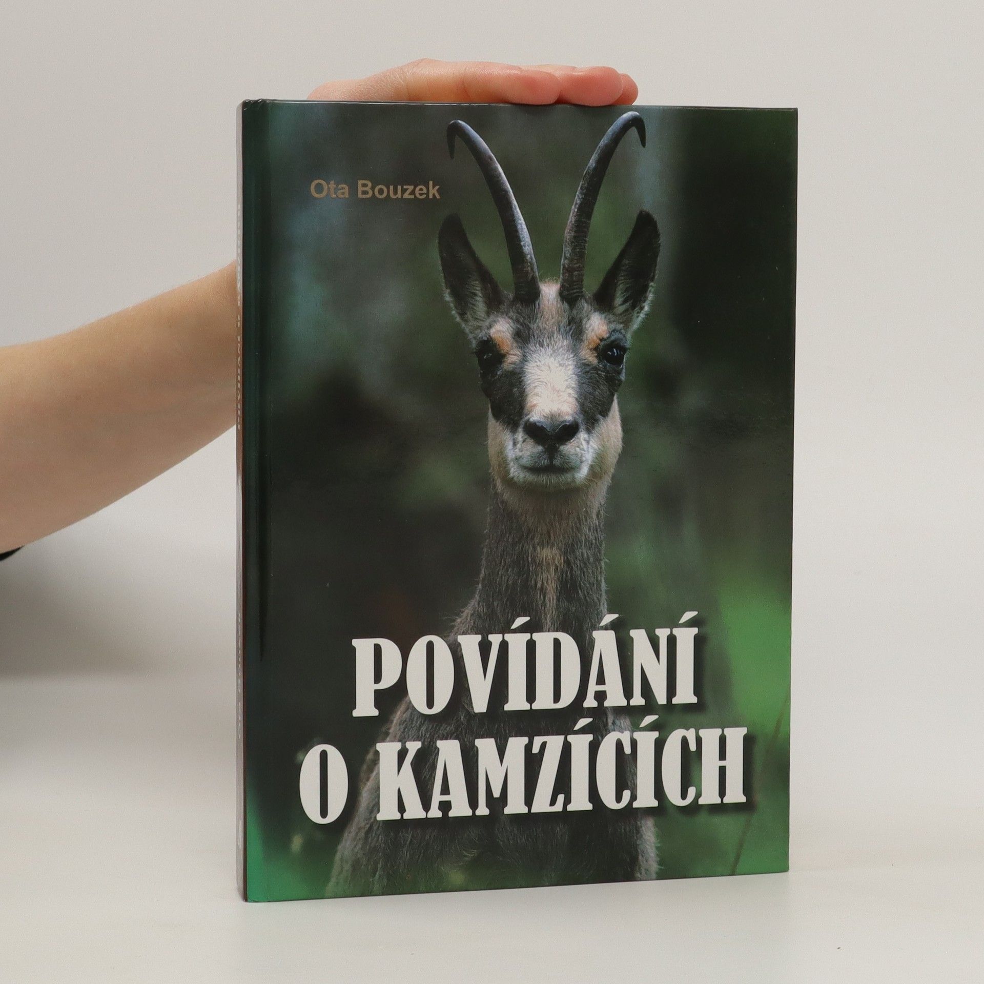 Ota Bouzek Povídání o kamzících