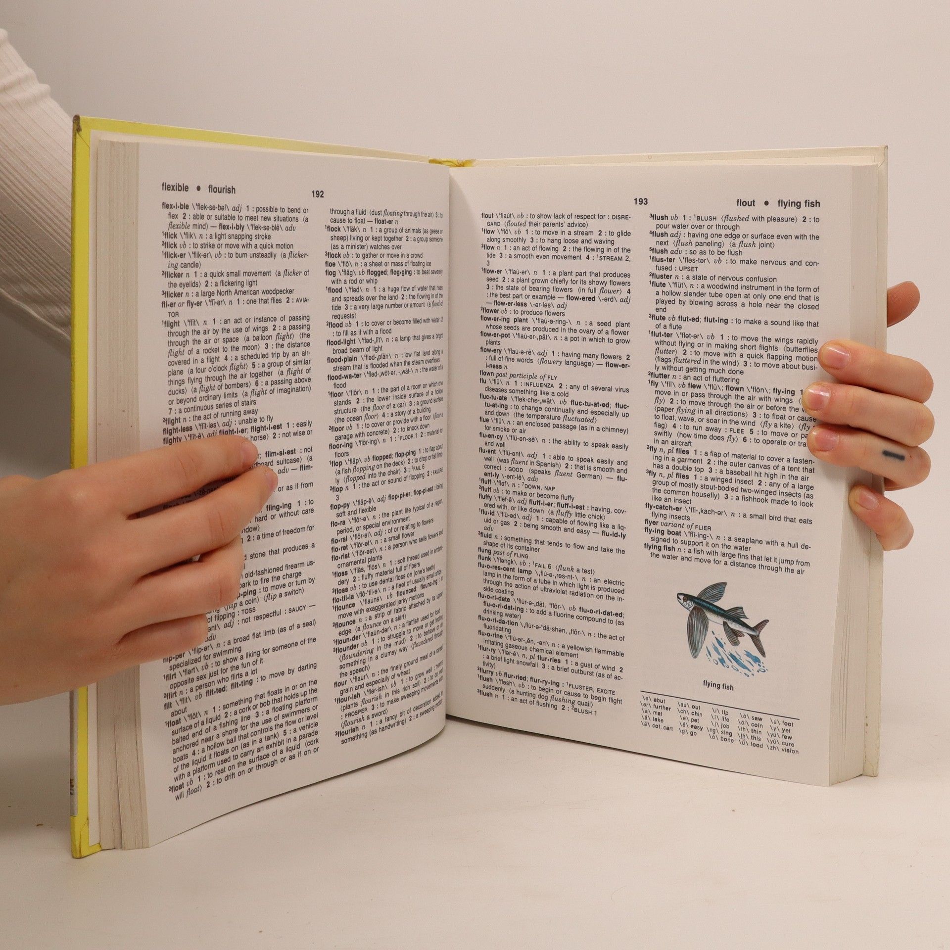 Kolektiv autorů Webster's Elementary Dictionary