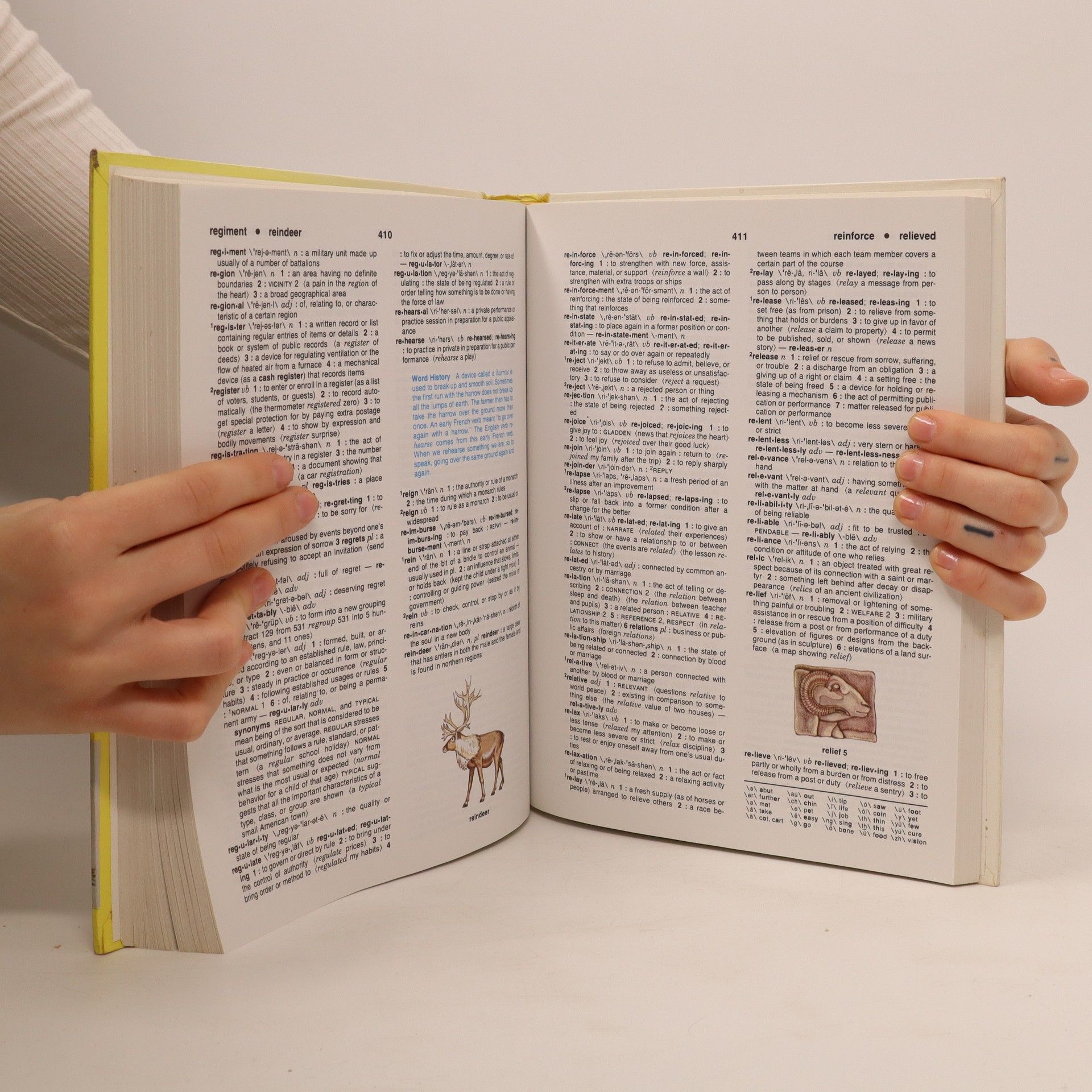 Kolektiv autorů Webster's Elementary Dictionary