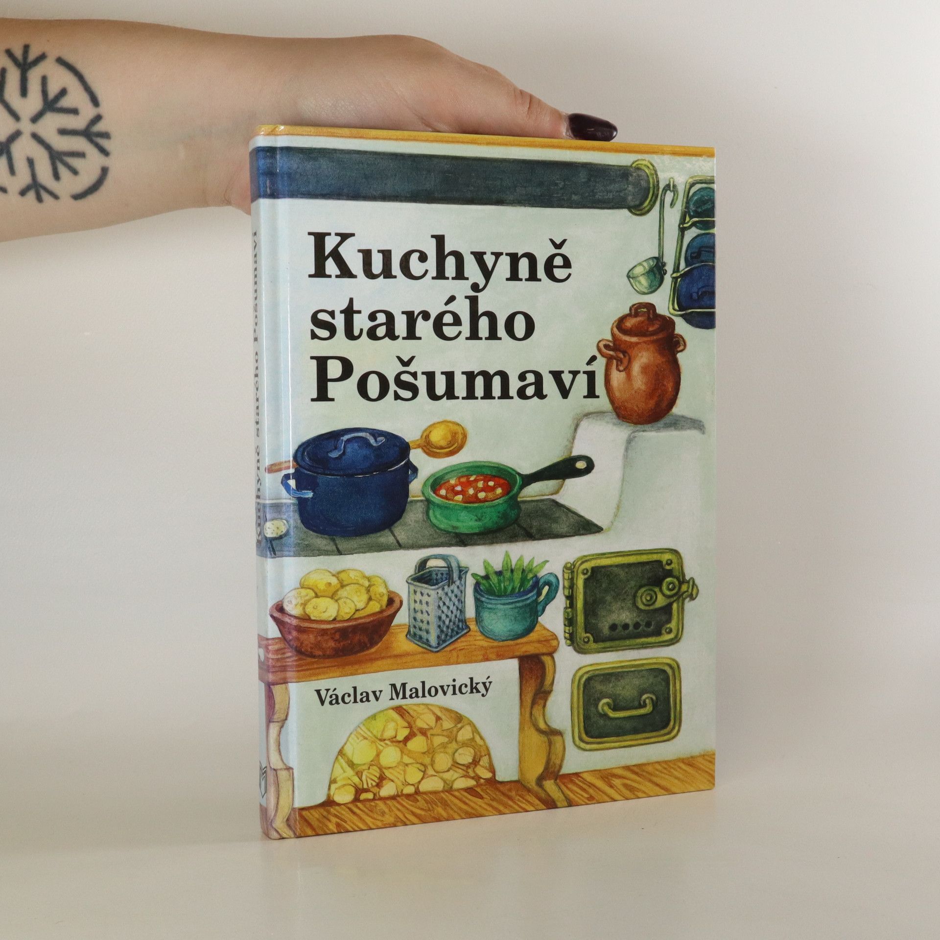 Václav Malovický Kuchyně starého Pošumaví