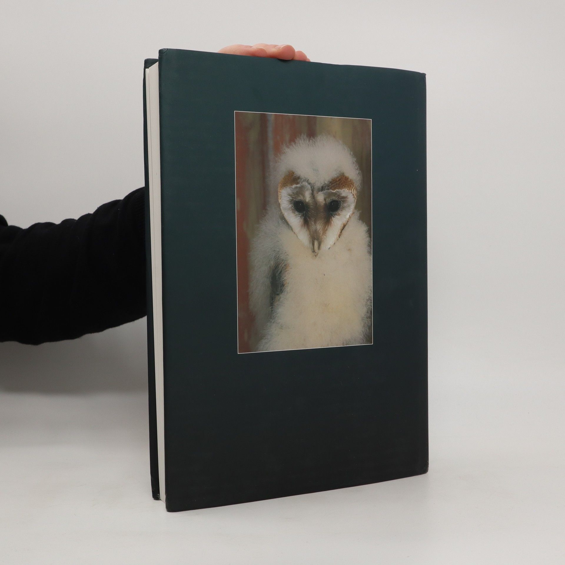 Karel Poprach The Barn Owl