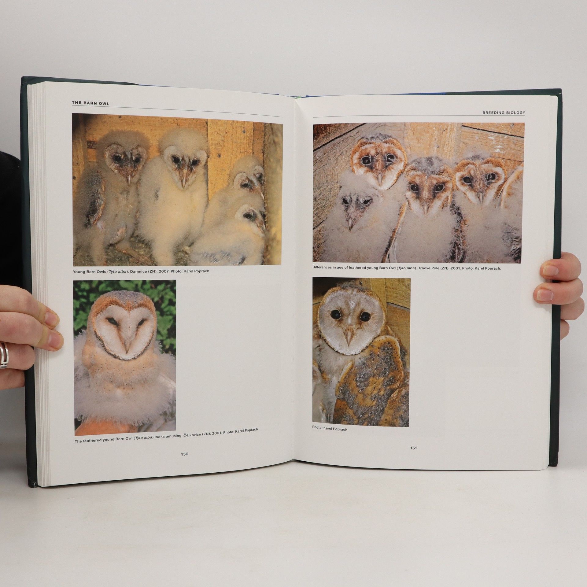 Karel Poprach The Barn Owl