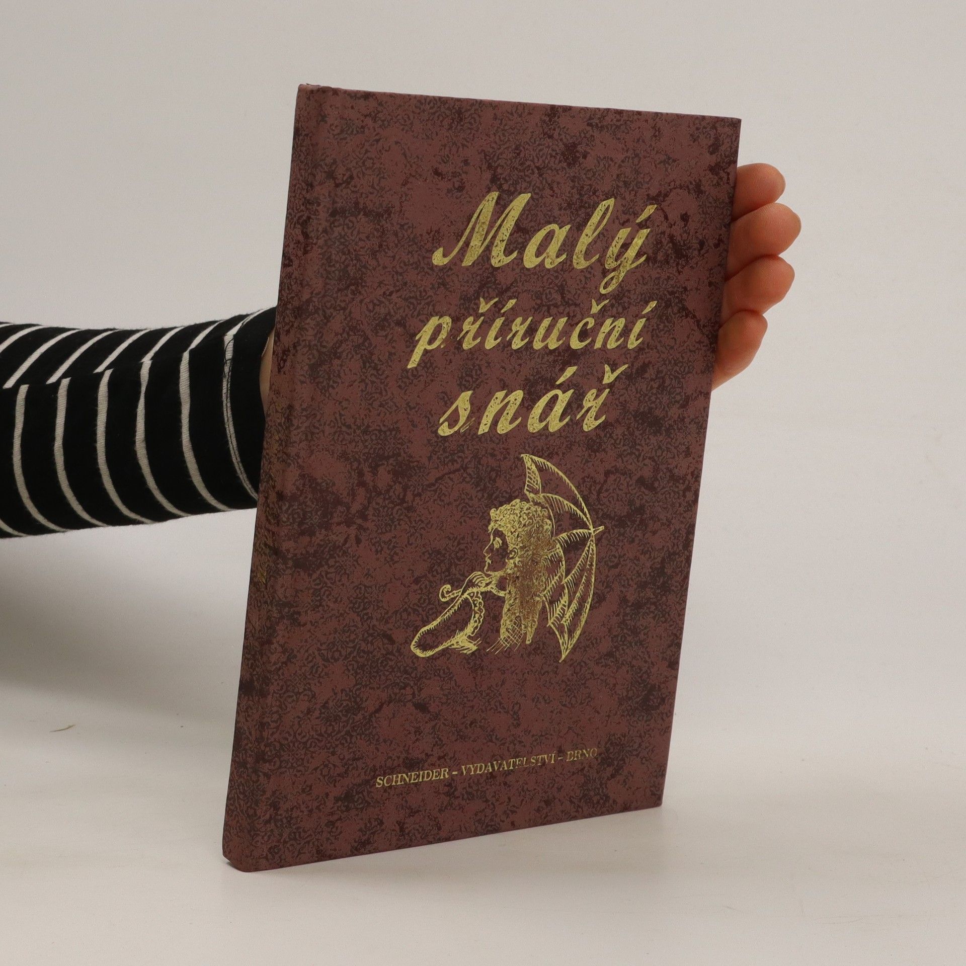 Kolektív autorov Malý příruční snář