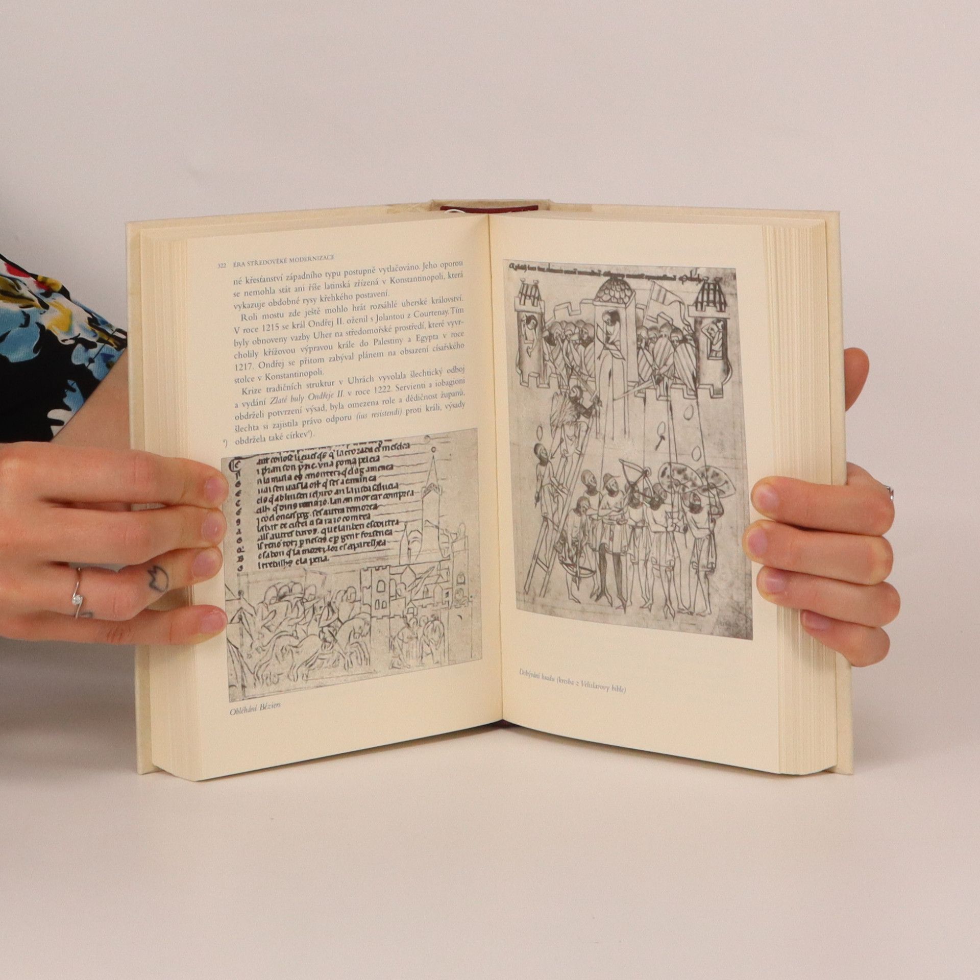 Autorenkollektiv Velké dějiny zemí Koruny české I-XV
