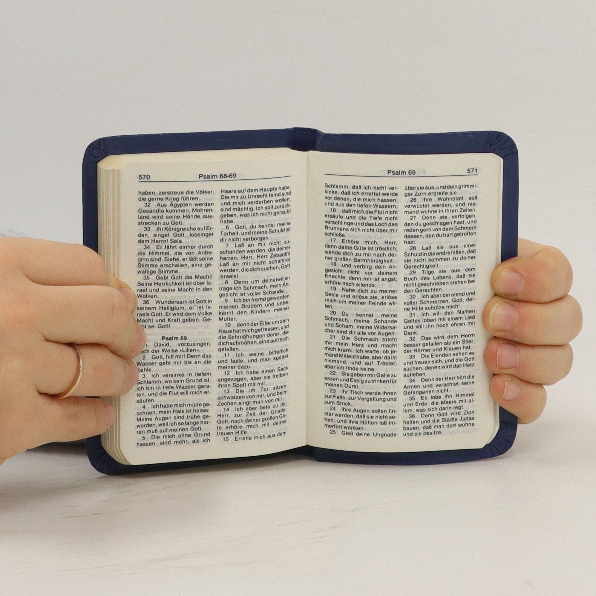 Kolektiv autorů Neues testament