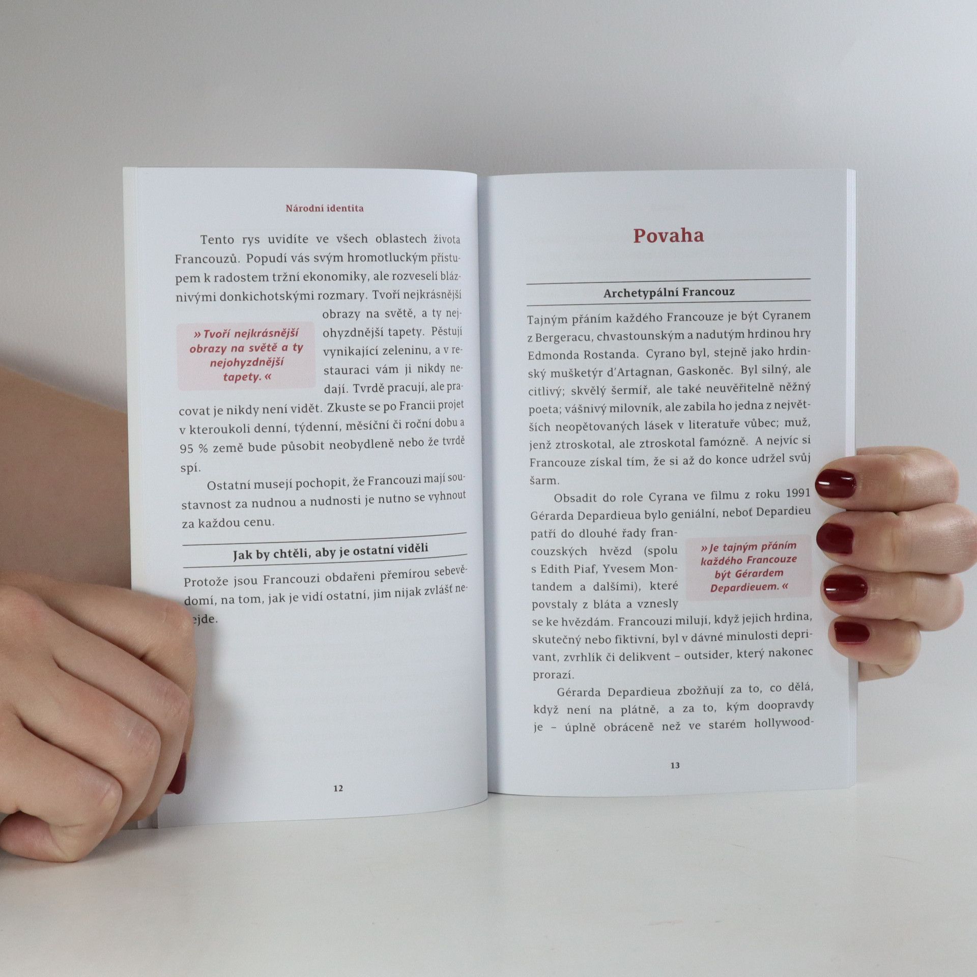 Nick Yapp Jací jsou? Francouzi. Zábavný průvodce národní povahou