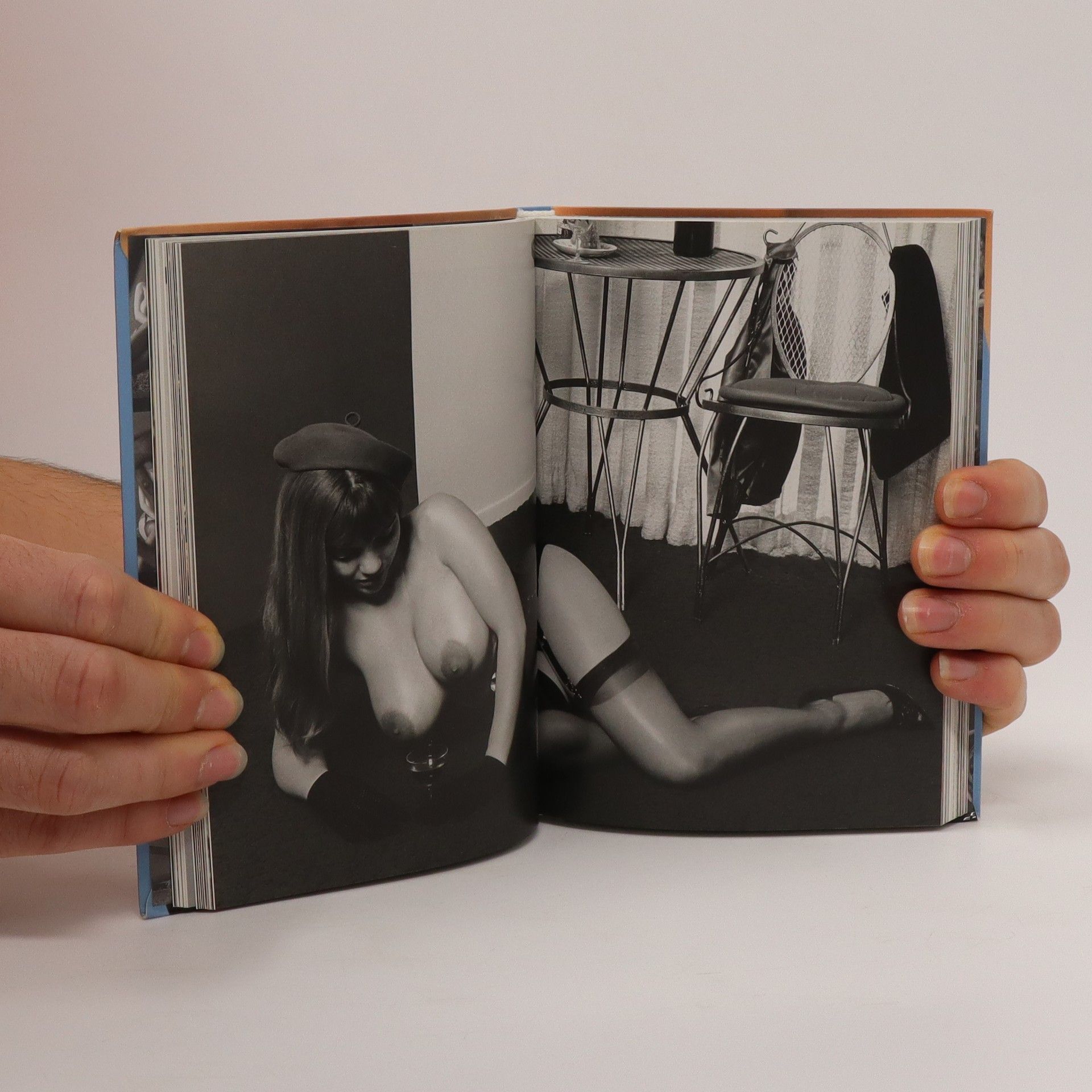 Dian Hanson The Little Book of Big Breasts