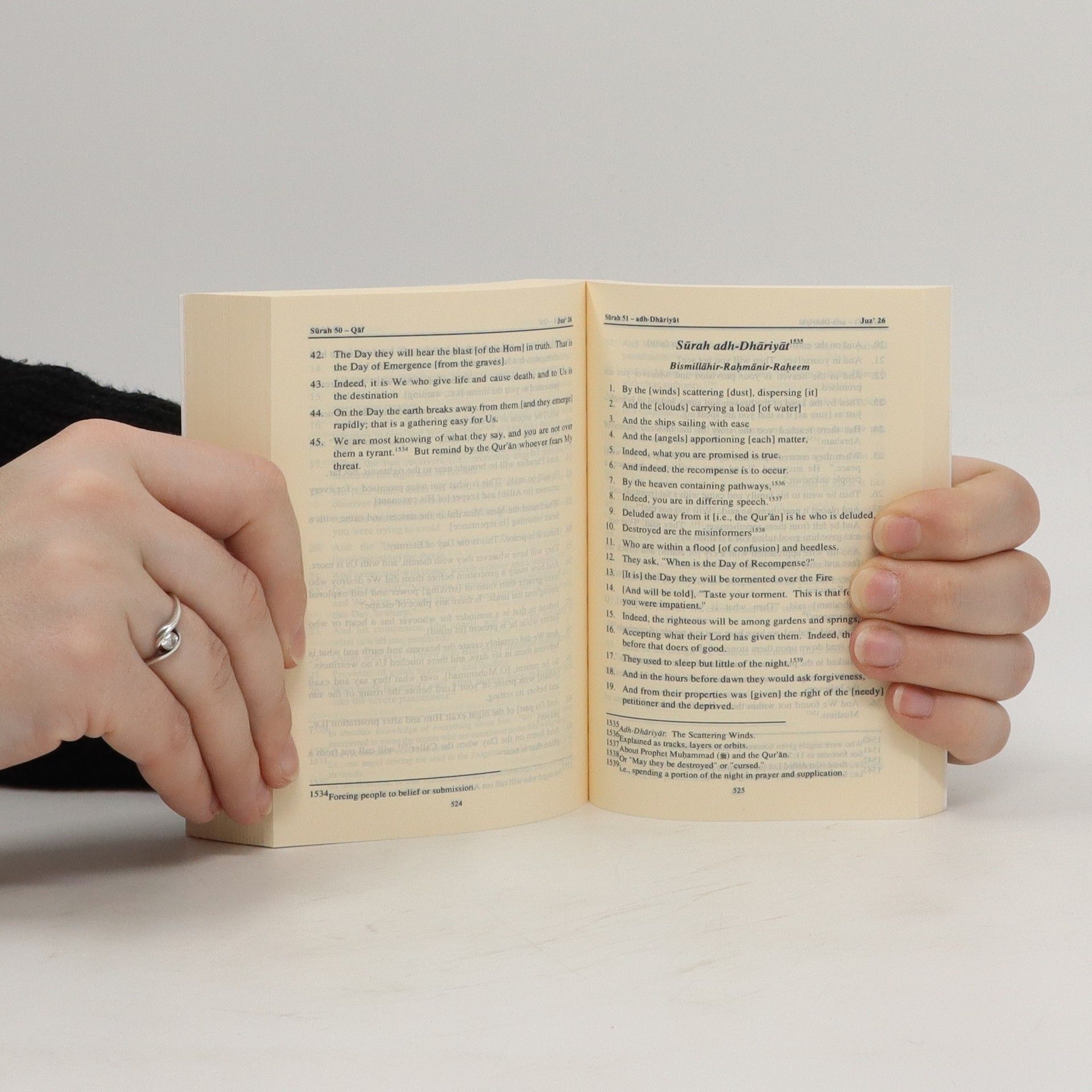 Kolektiv autorů The Qurʼān: English Meanings Revised