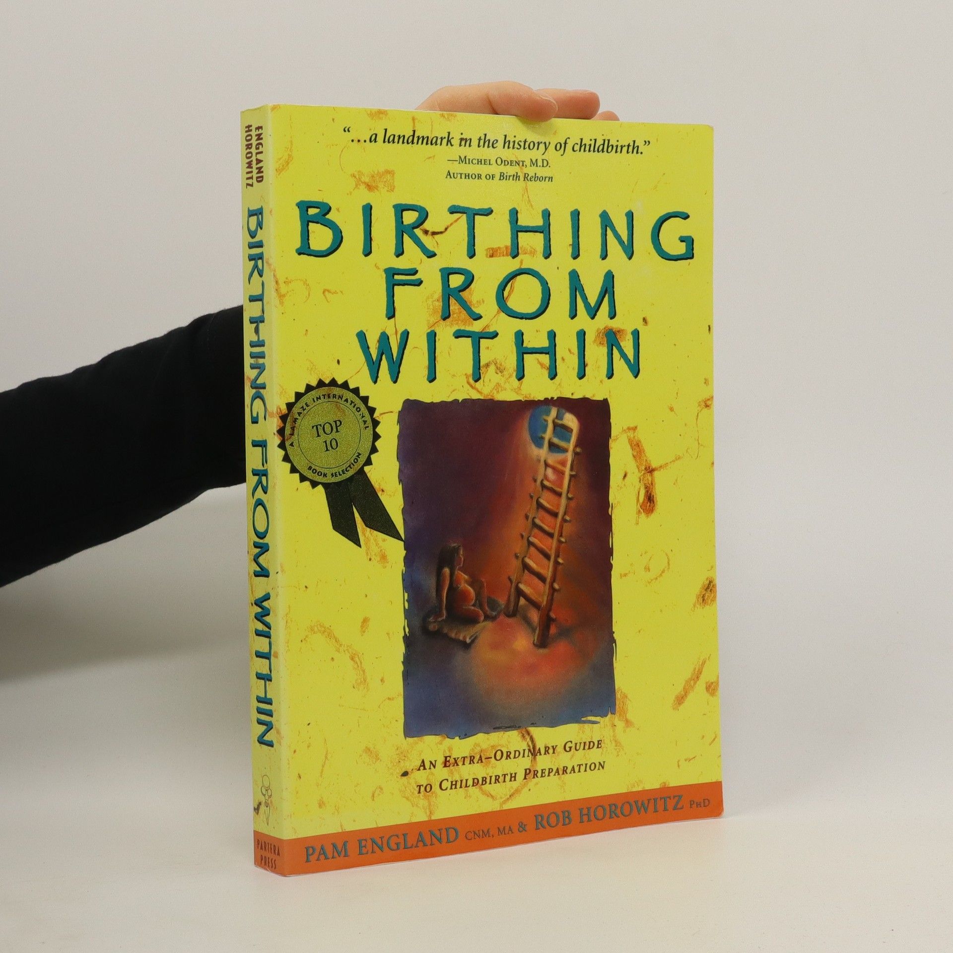 Pam England Birthing from Within