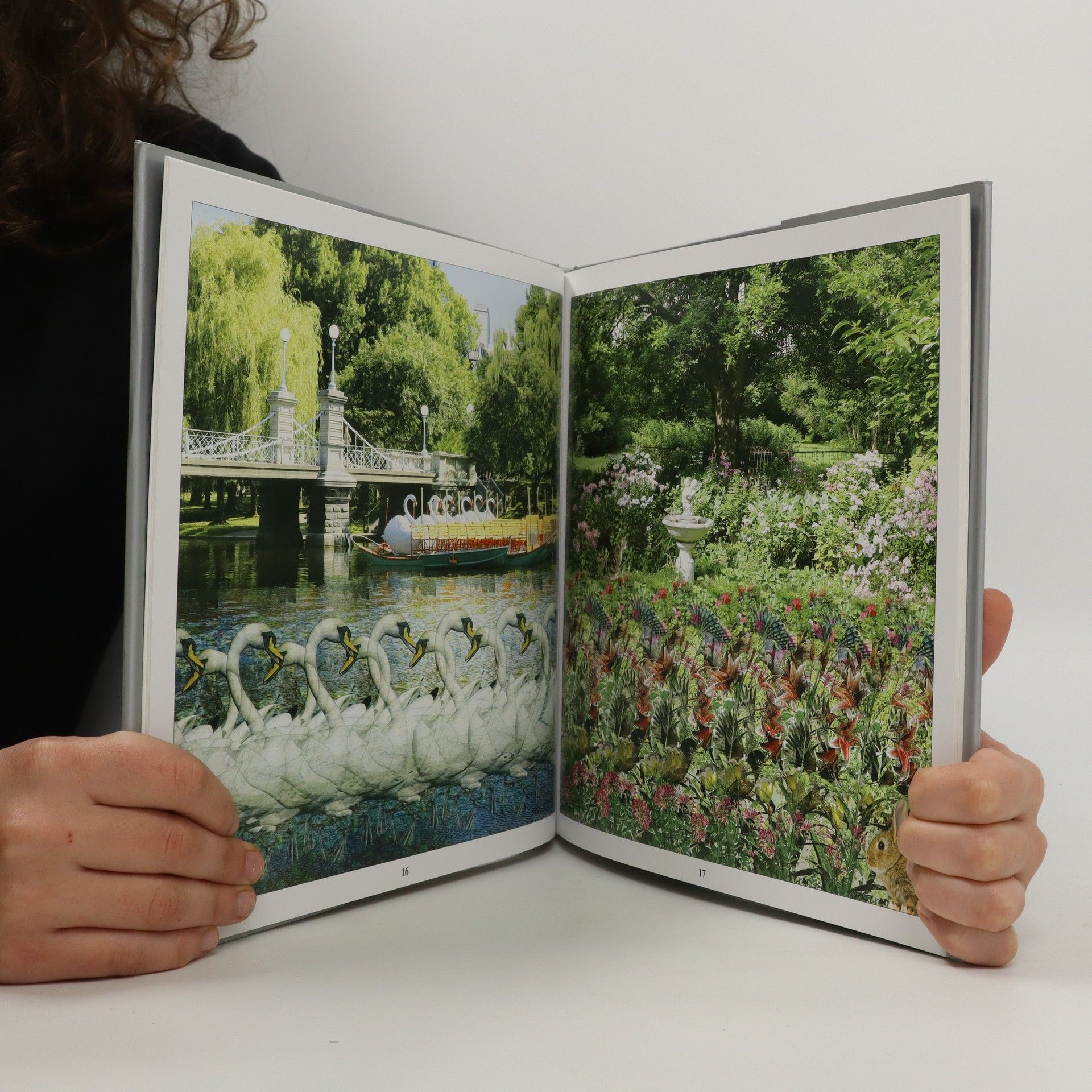 Autorenkollektiv Magic Eye: Amazing 3D Illusions by Magic Eye Inc.
