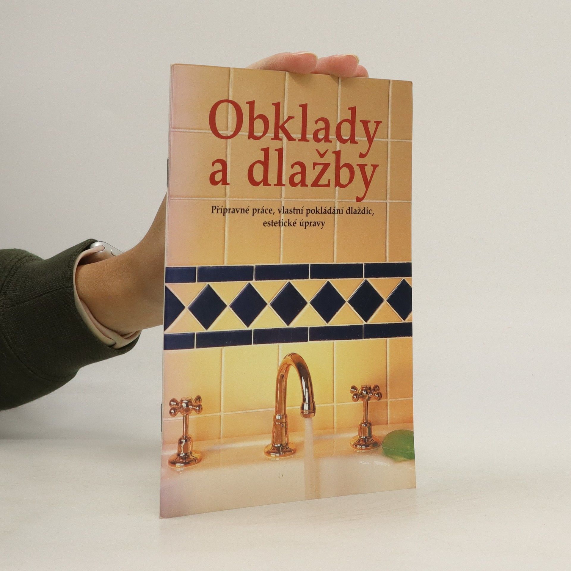Dieter Mylius Obklady a dlažby