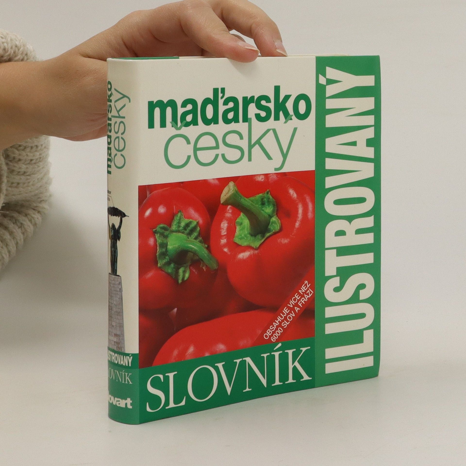 Autorenkollektiv Maďarsko český ilustrovaný slovník