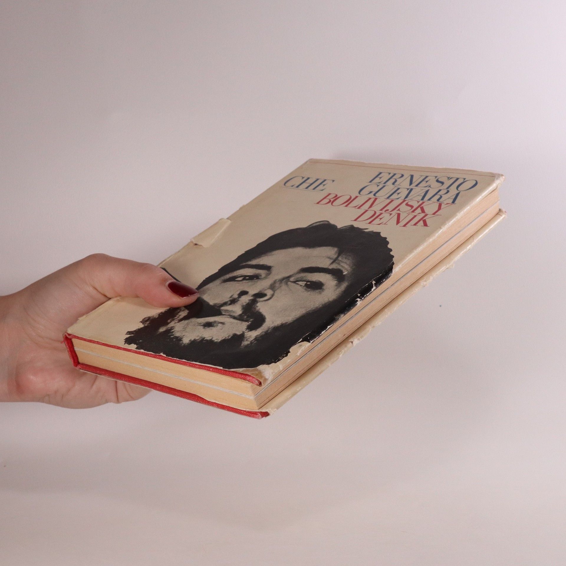 Ernesto Che Guevara Bolivijský deník