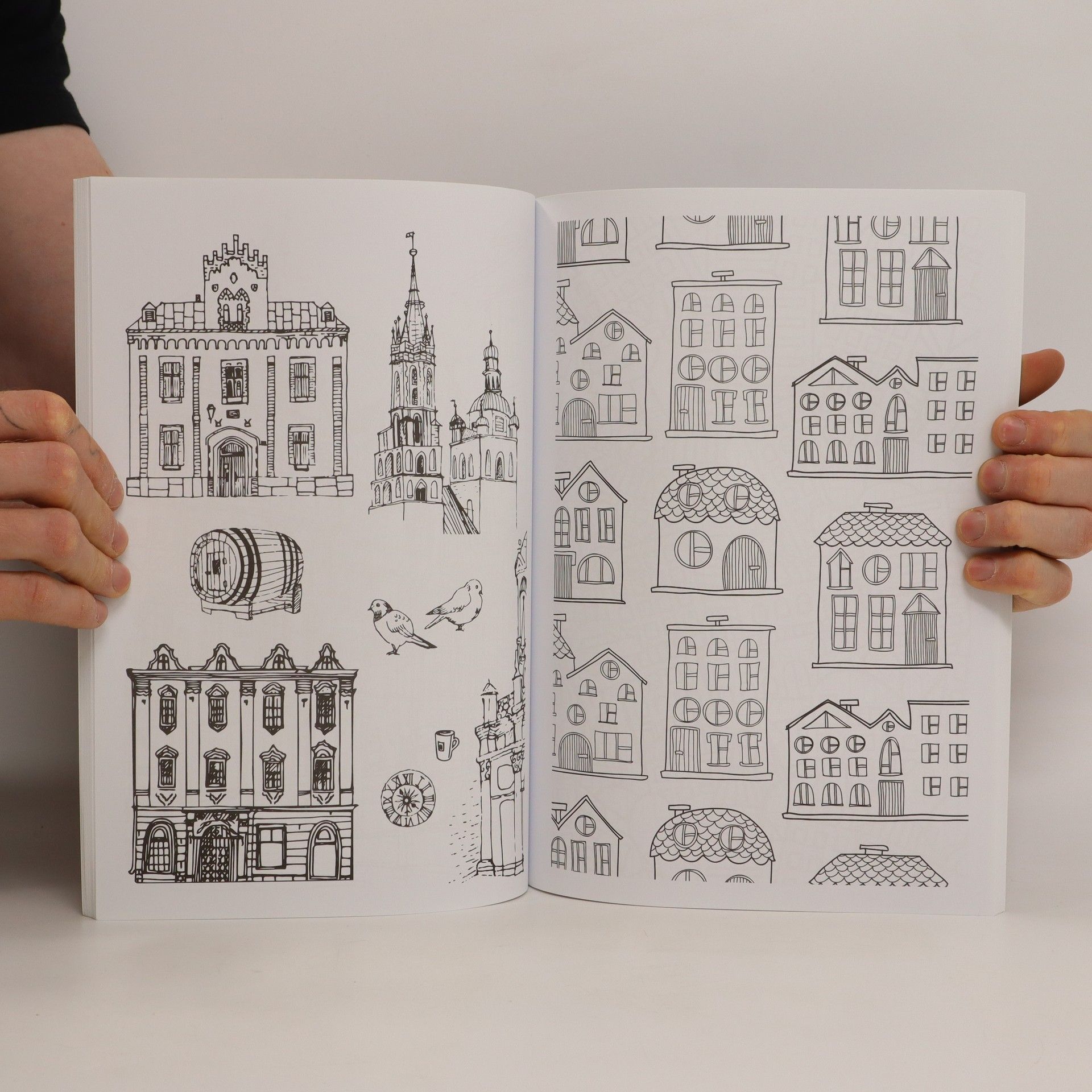Tereza Pecáková 101 nejkrásnějších domů, hradů a zámků