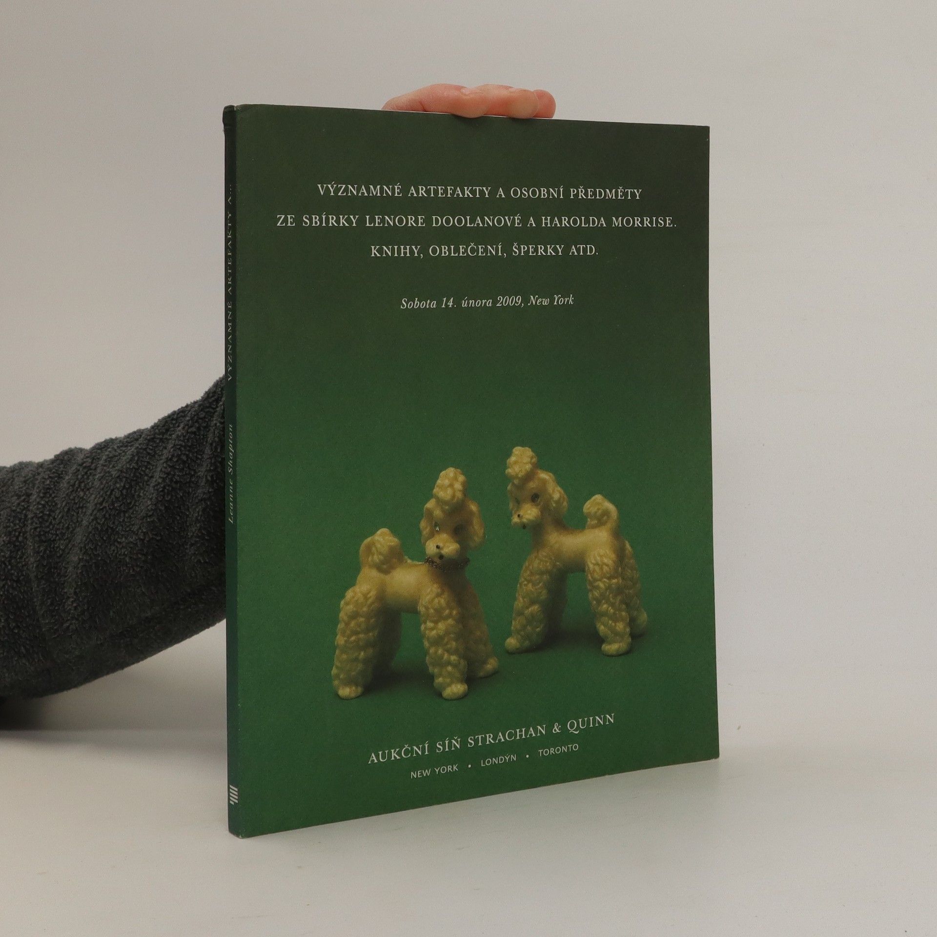 Leanne Shapton Významné artefakty a osobní předměty ze sbírky Lenore Doolanové a Harolda Morrise. Knihy, oblečení, šperky atd.