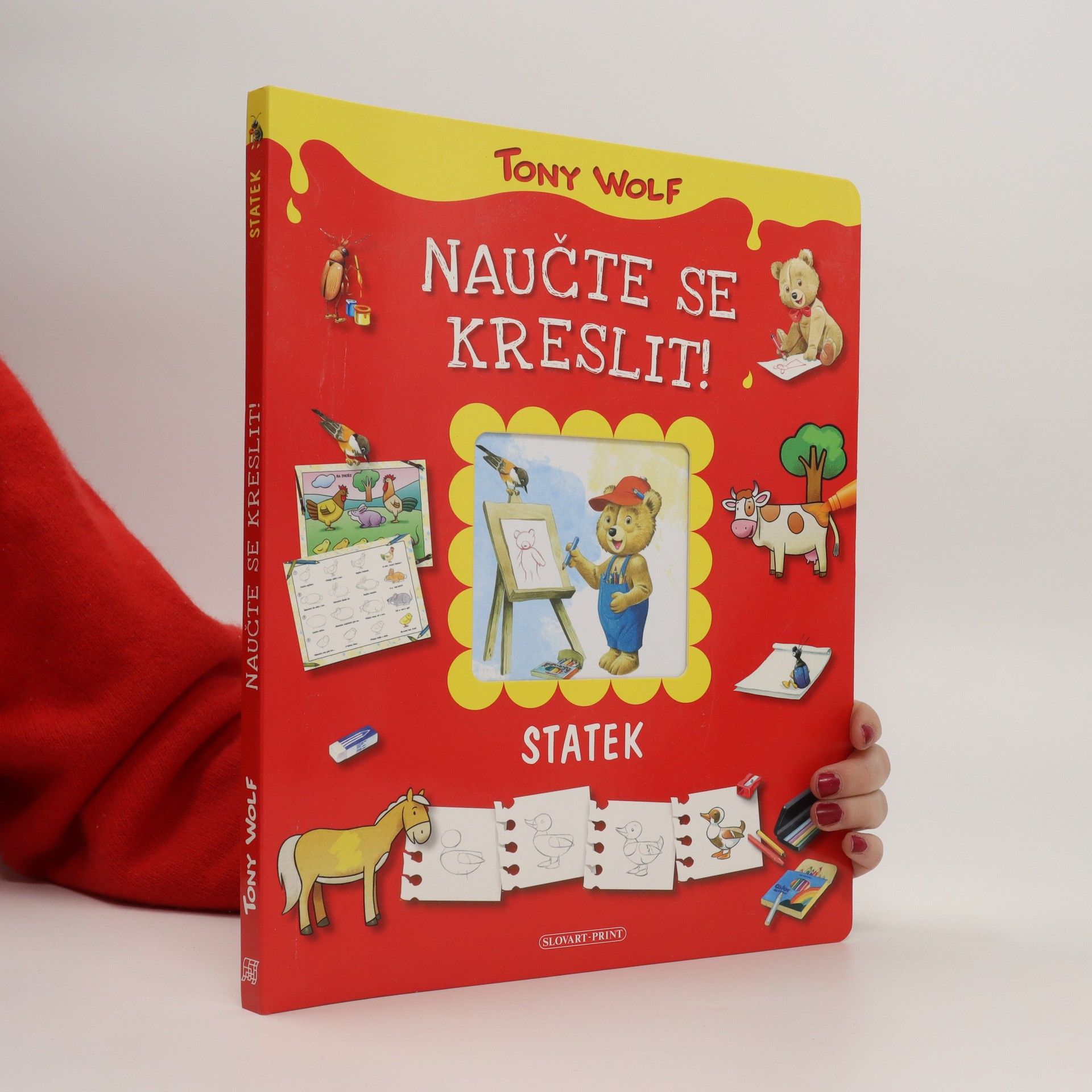Tony Wolf Naučte se kreslit : statek