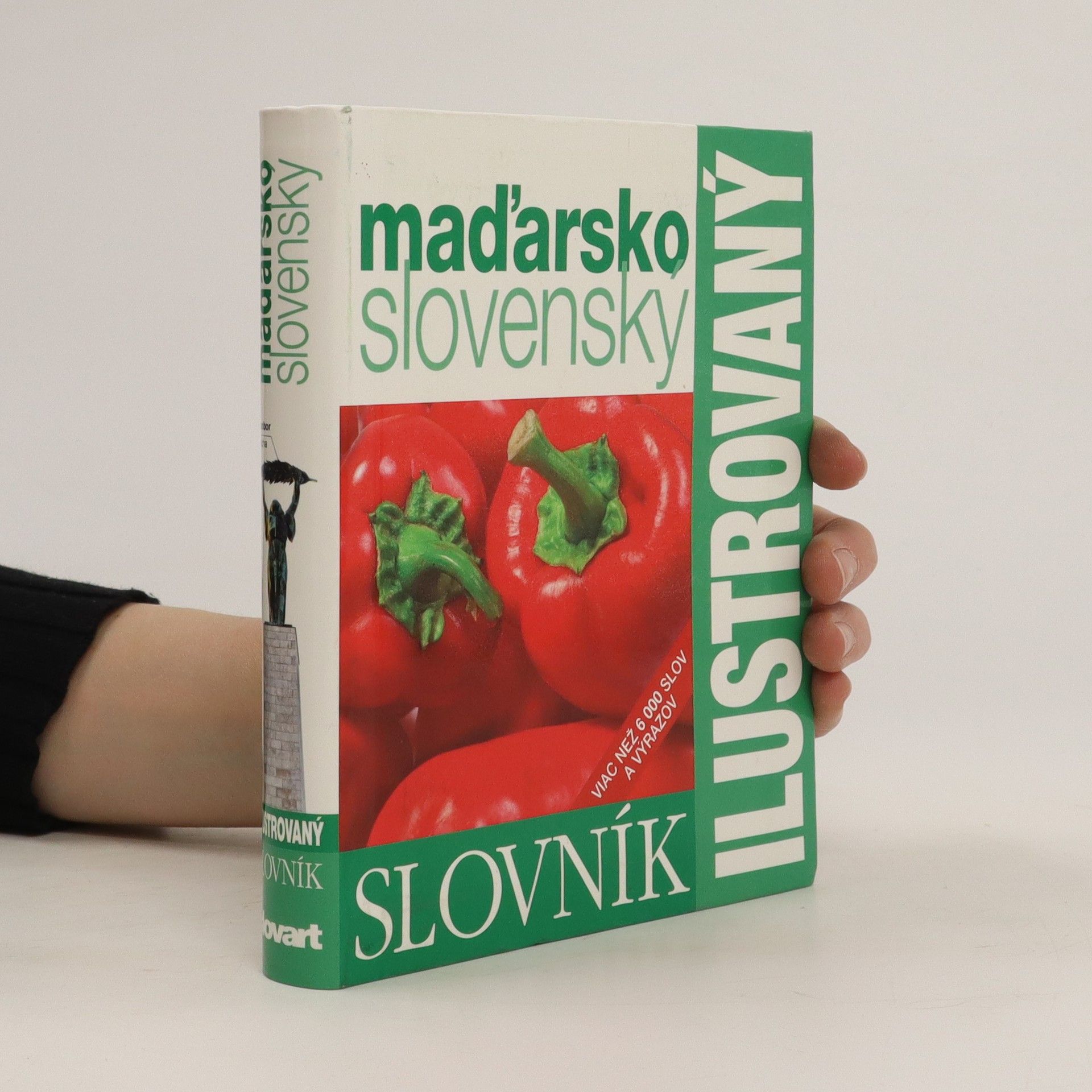 Autorenkollektiv Ilustrovaný slovník maďarsko-slovenský