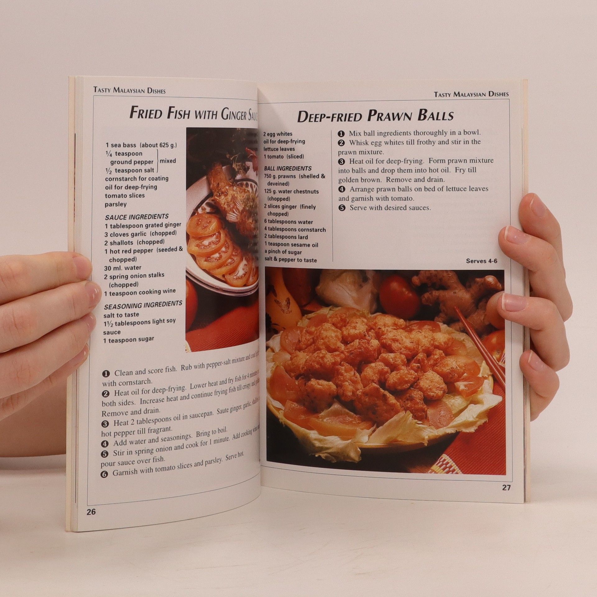 Various authors Tasty malaysian dishes