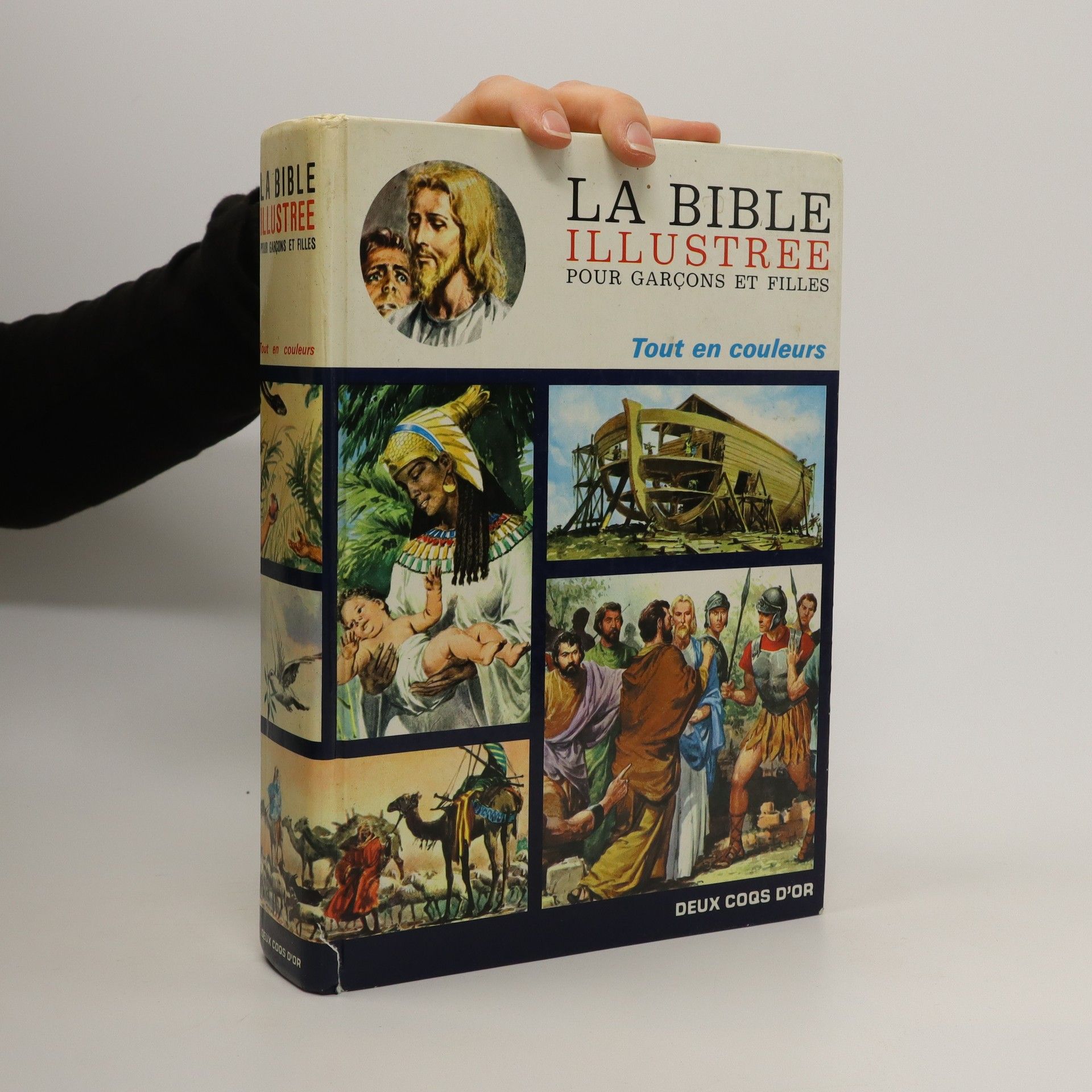 Kolektív autorov La Bible illustree pour garçons et filles