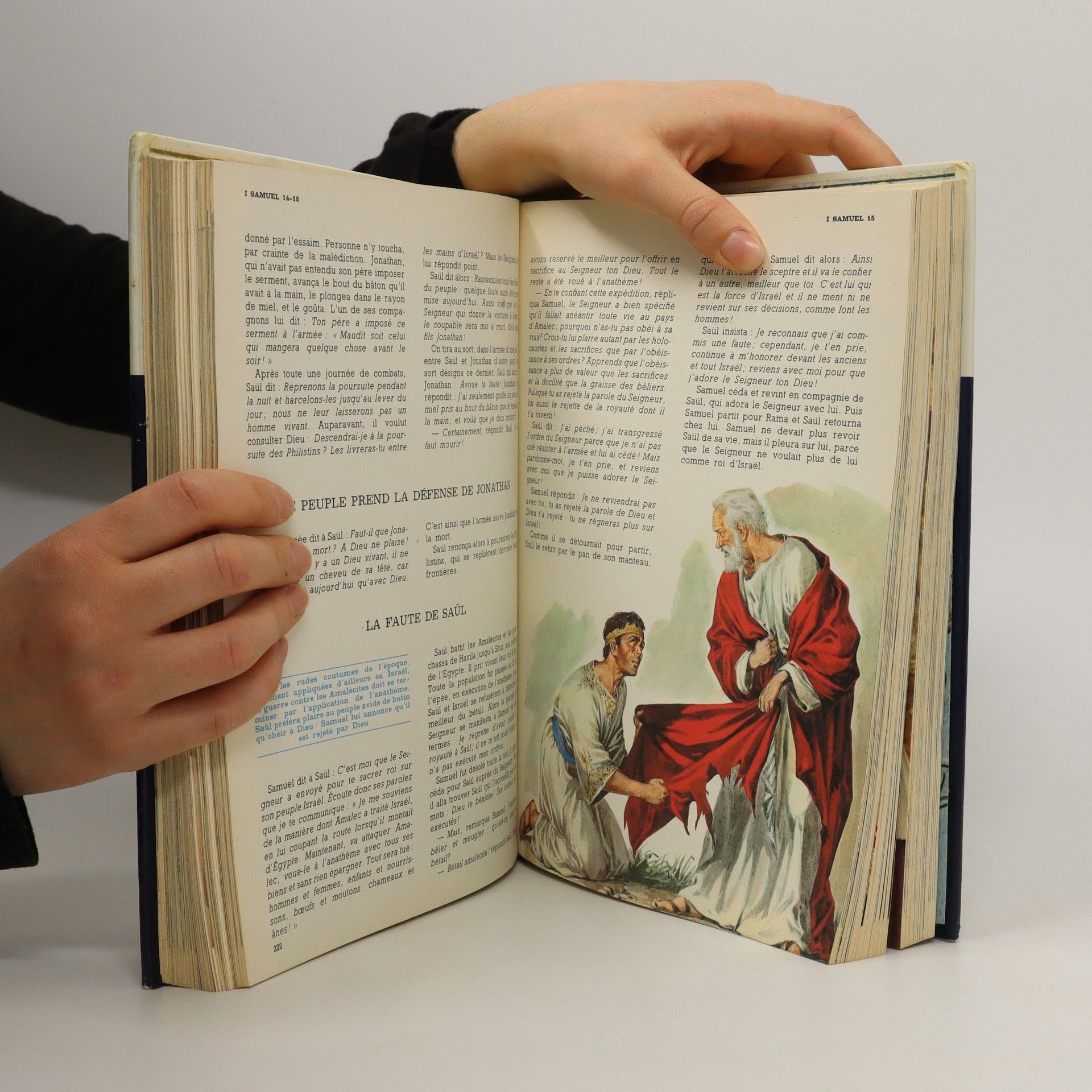 Kolektív autorov La Bible illustree pour garçons et filles