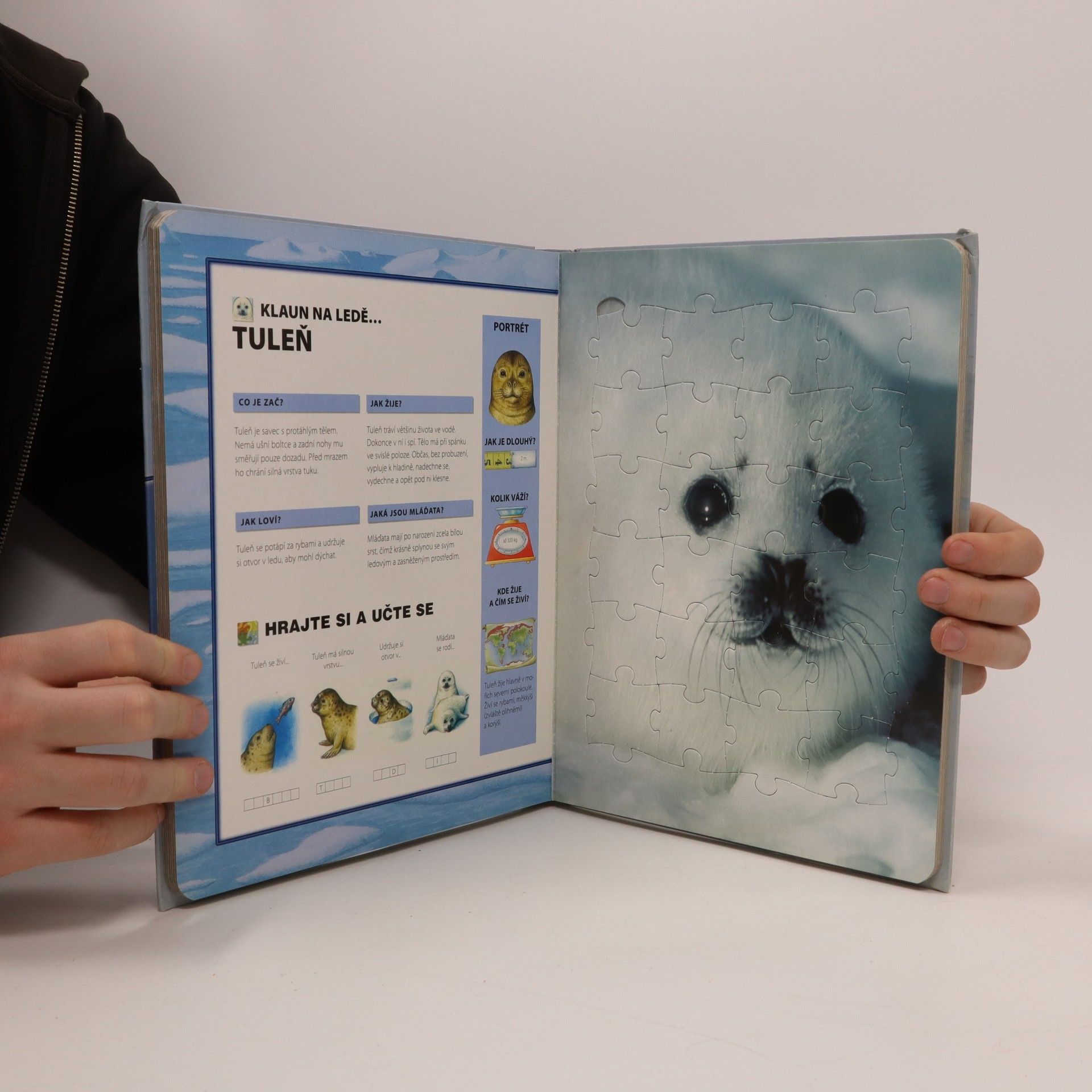 Francesca Chiapponi Země věčného sněhu. Zvířátka, která znáš ze ZOO. Puzzle.