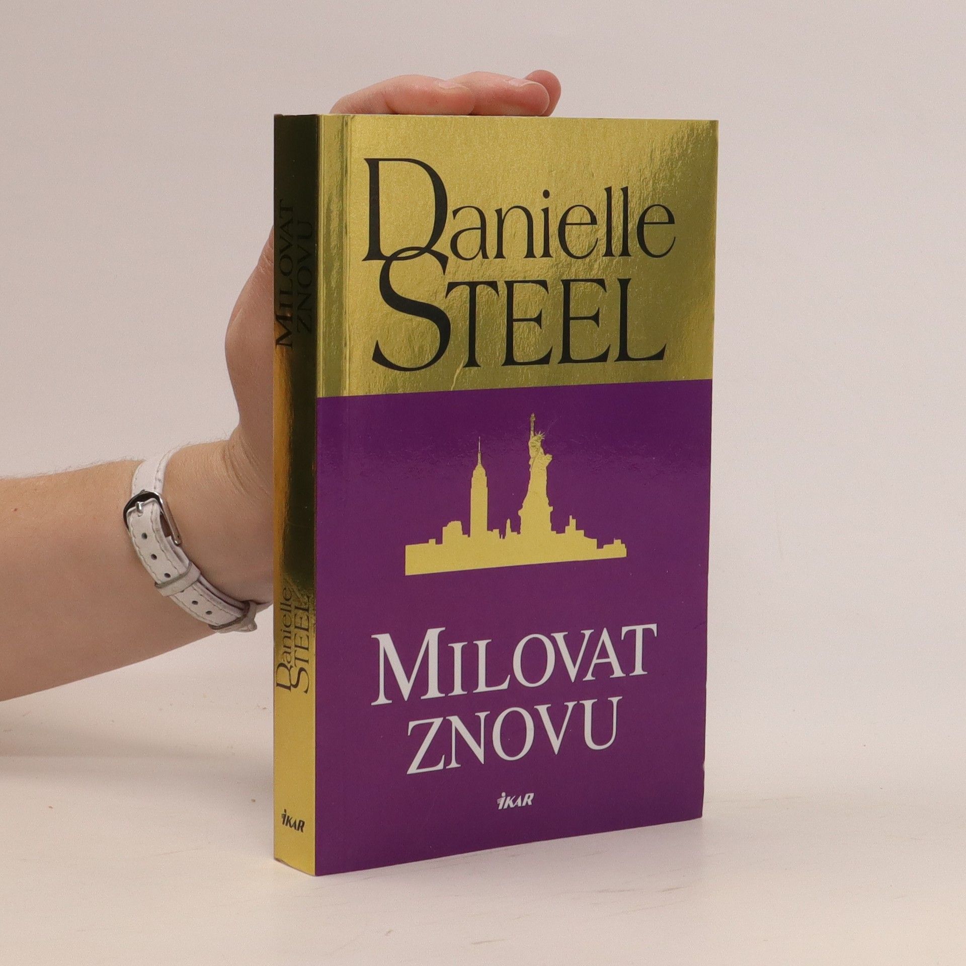 Danielle Steel Milovat znovu