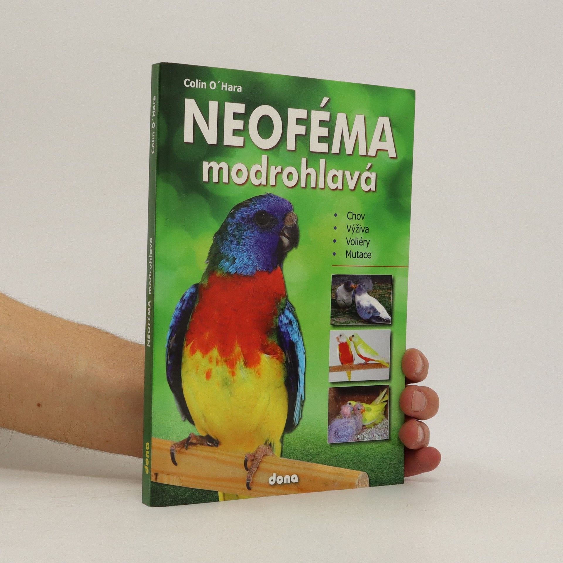 Colin O. Hara Neoféma modrohlavá