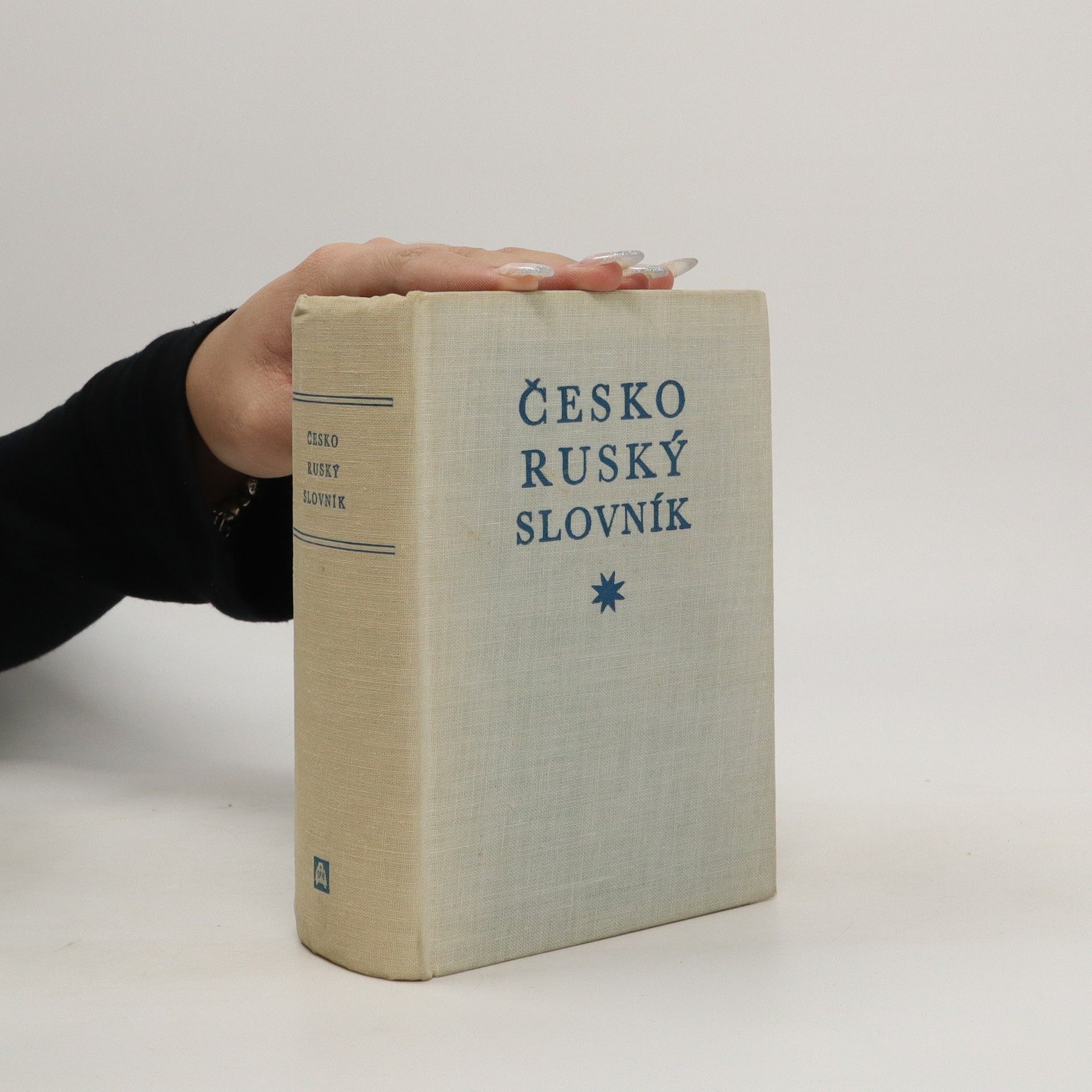 E. Melnikova Česko - ruský slovník
