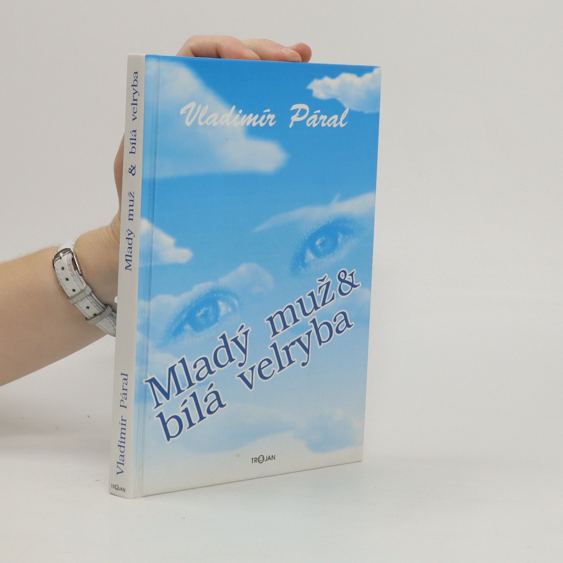 Vladimír Páral Mladý muž a bílá velryba