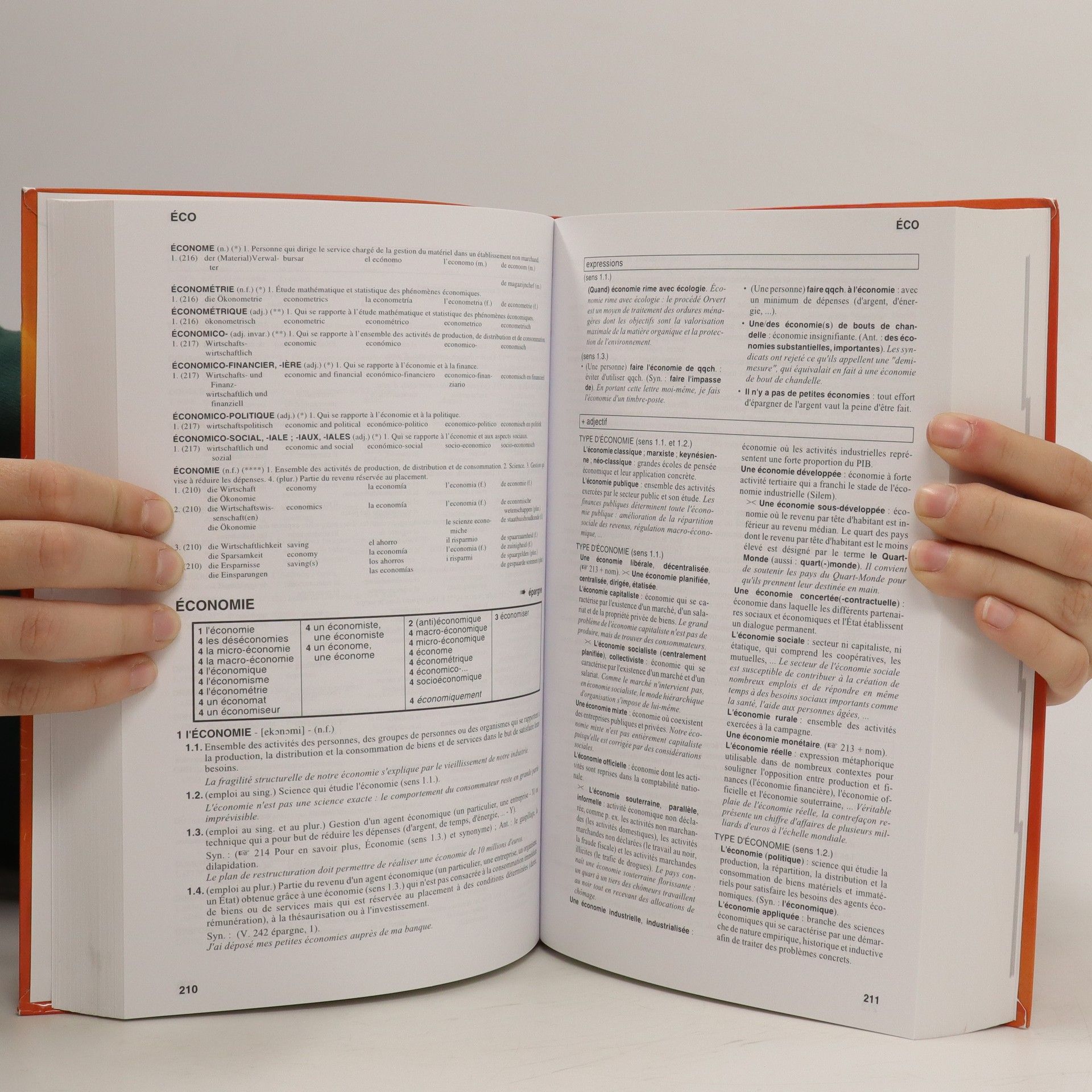 Autorenkollektiv Dictionnaire d'apprentissage du français des affaires