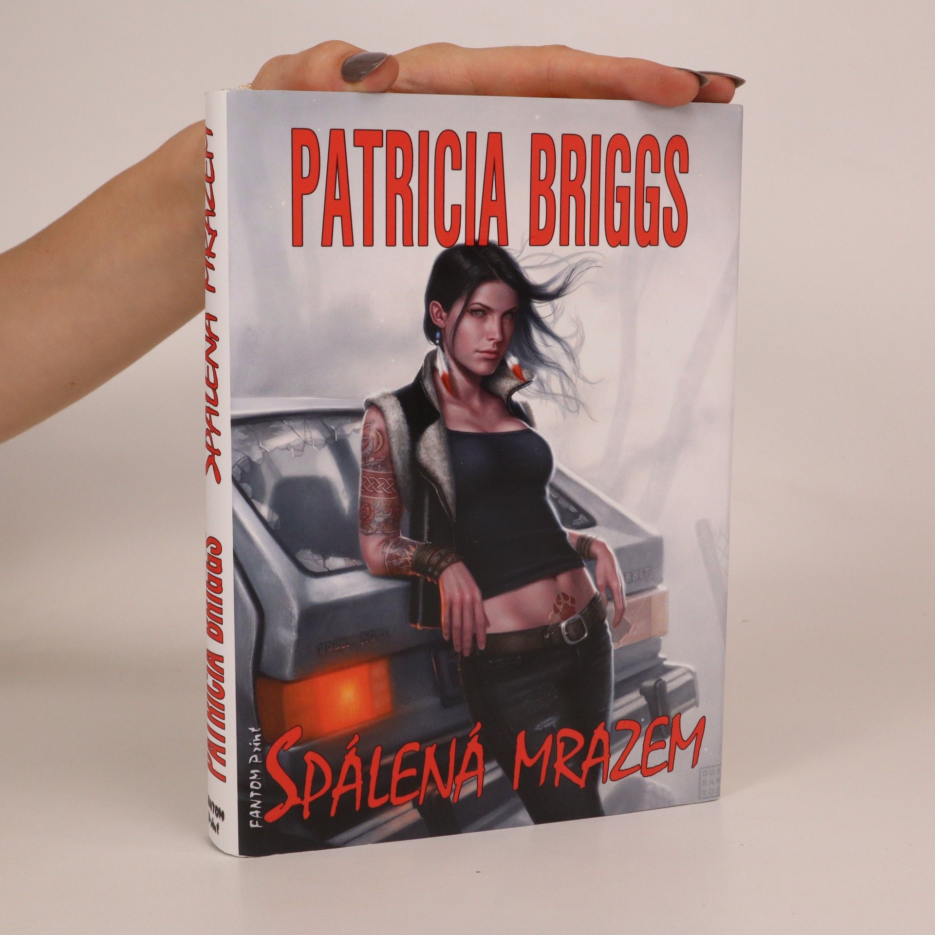 Patricia Briggs Spálená mrazem