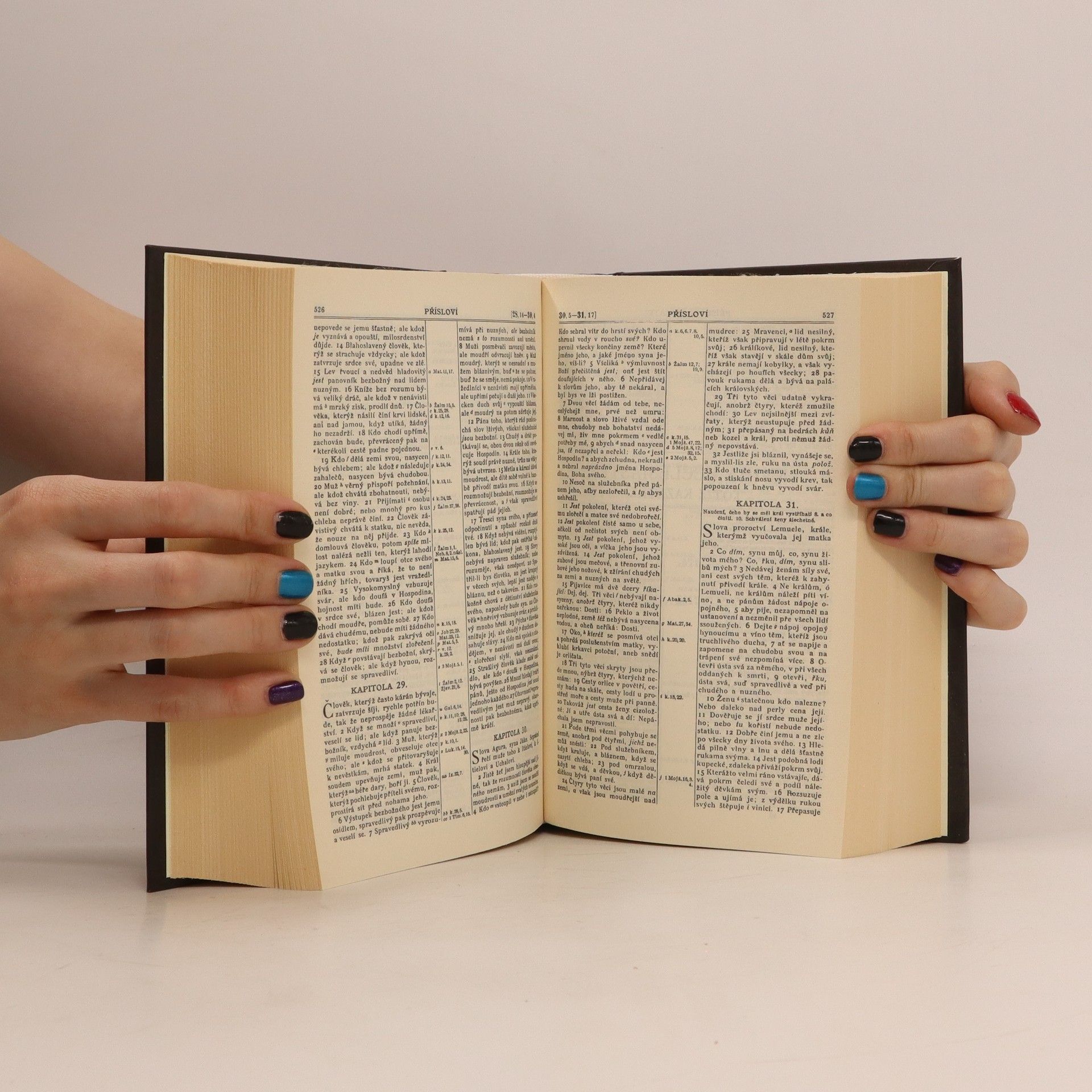 Kolektiv autorů Bible svatá aneb všecka svatá písma Starého i Nového zákona