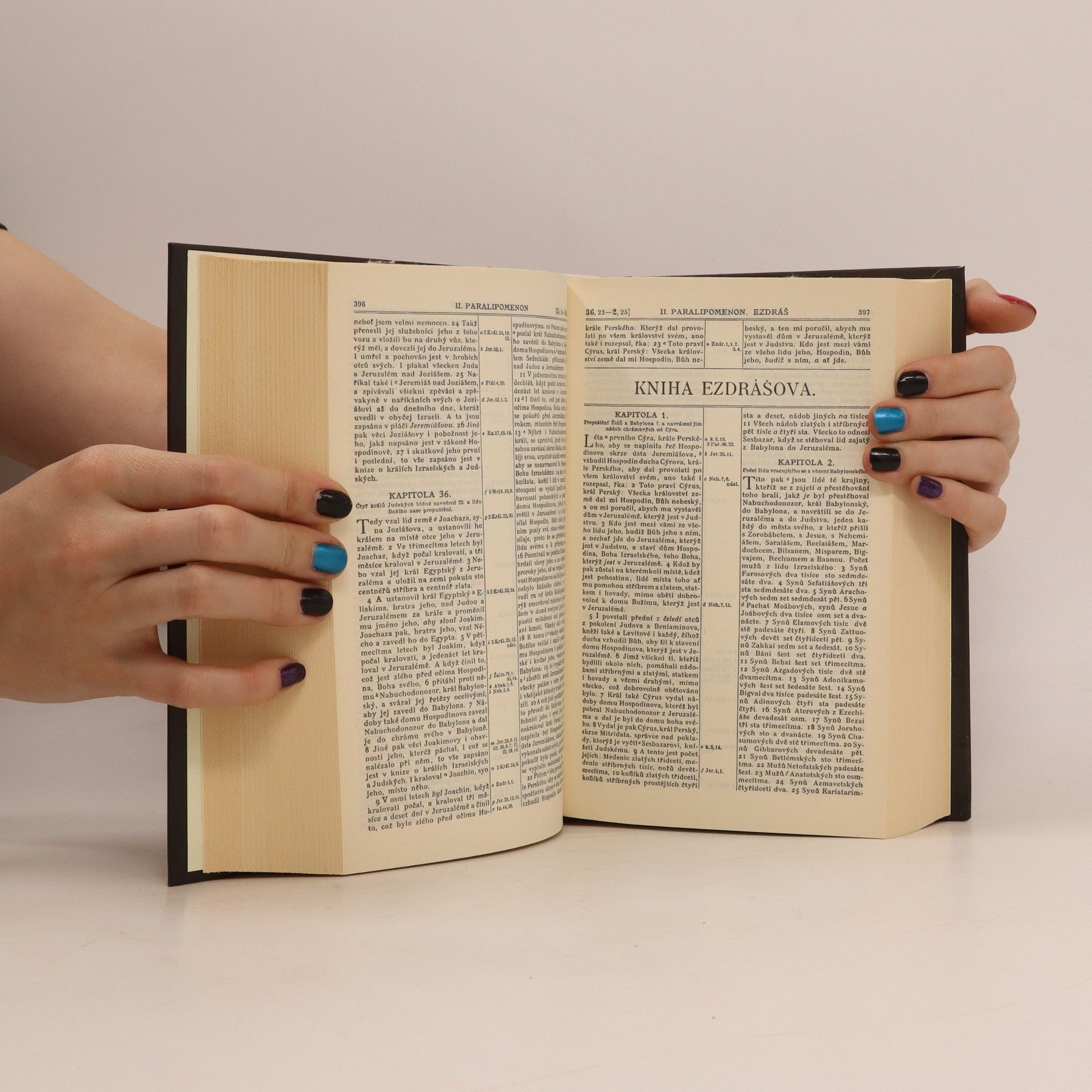 Kolektiv autorů Bible svatá aneb všecka svatá písma Starého i Nového zákona