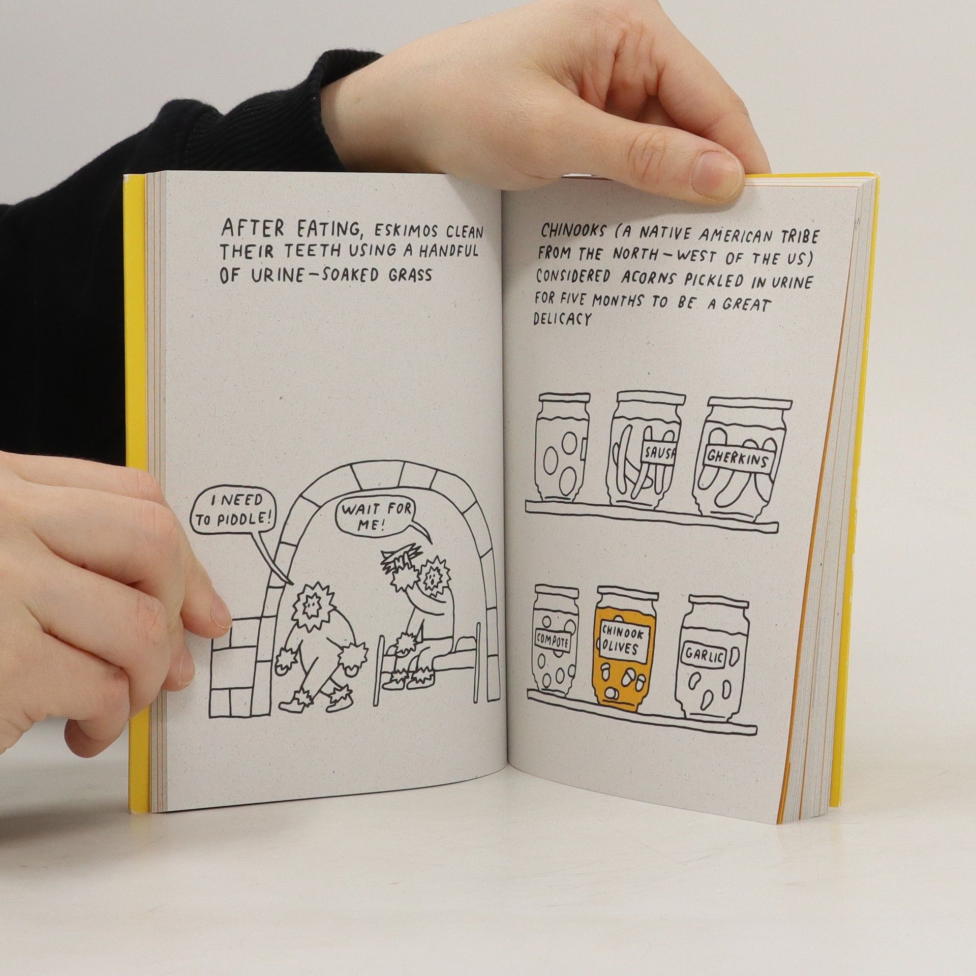 Jakub Plachý The Big Book of Peeing